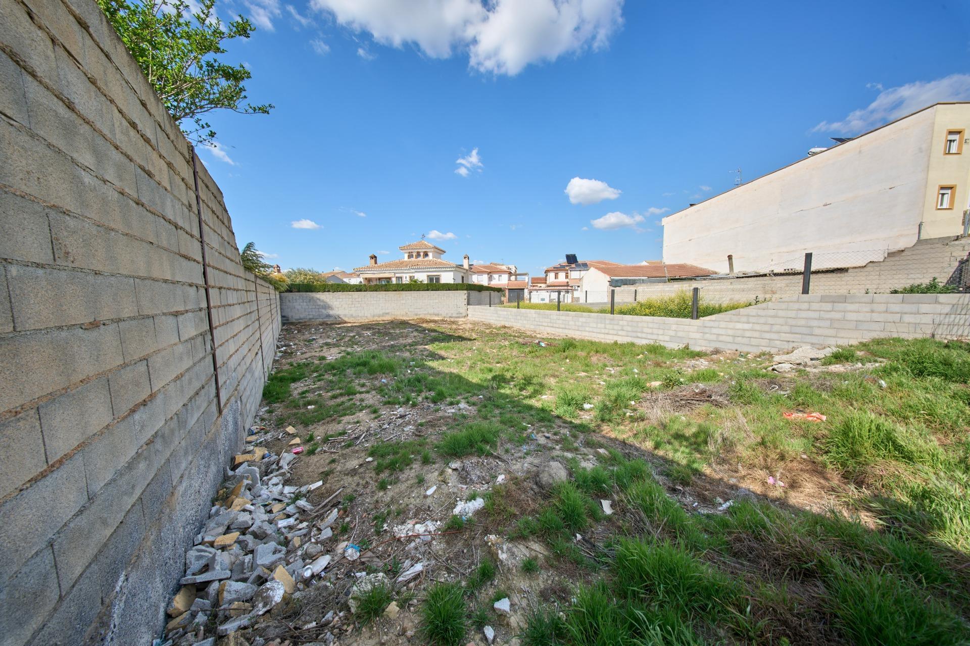 Fincas y solares-Venta-LÃ¡char-1709466-Foto-9
