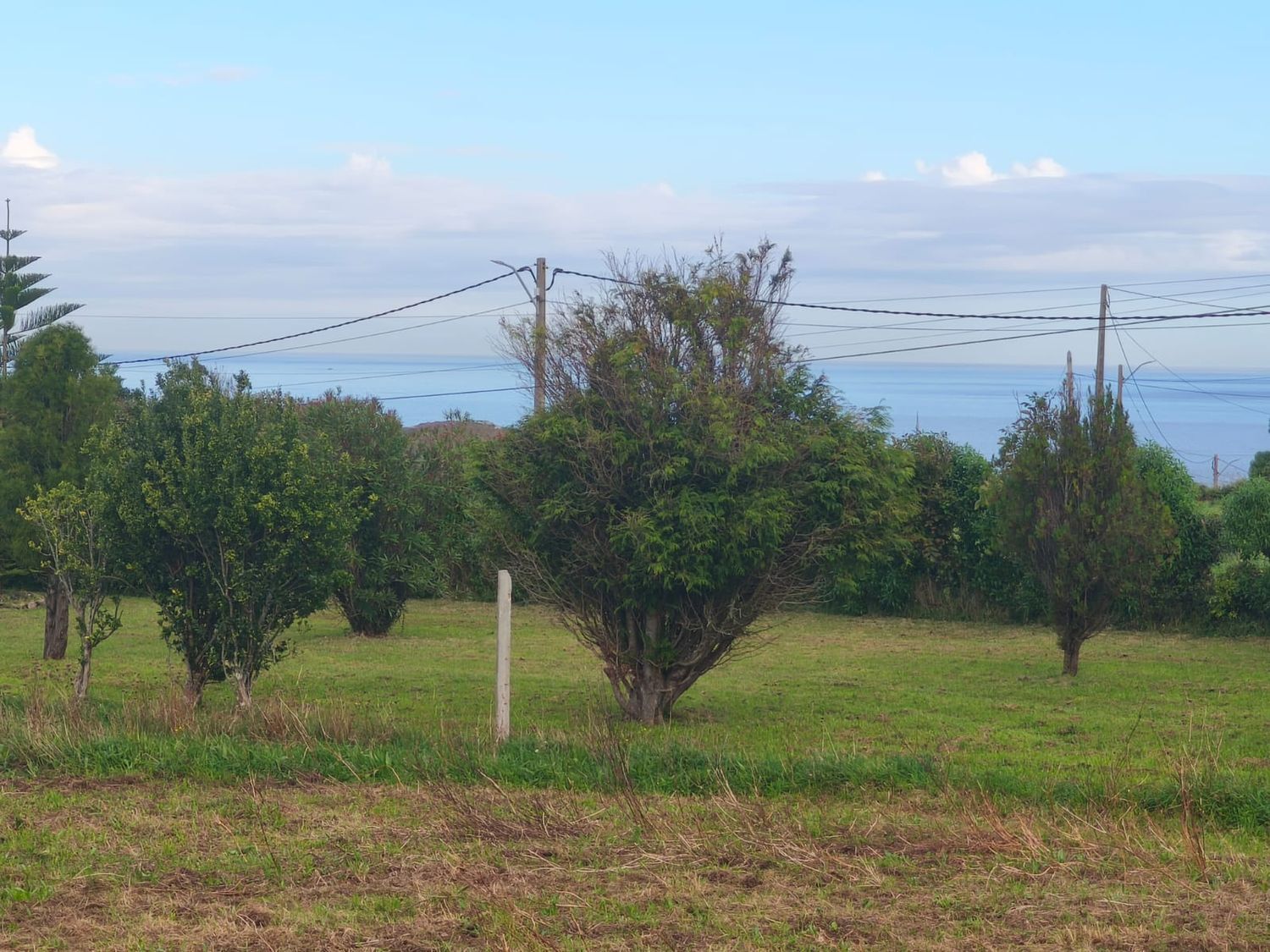 Fincas y solares-Venta-Ferrol-1456644-Foto-2