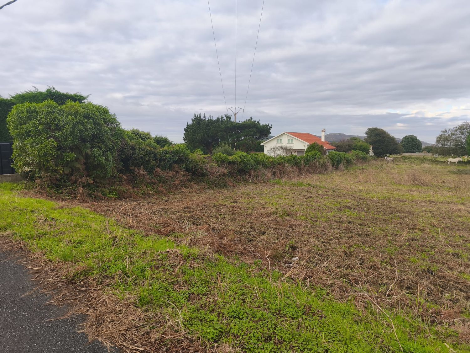 Fincas y solares-Venta-Ferrol-1456644-Foto-3