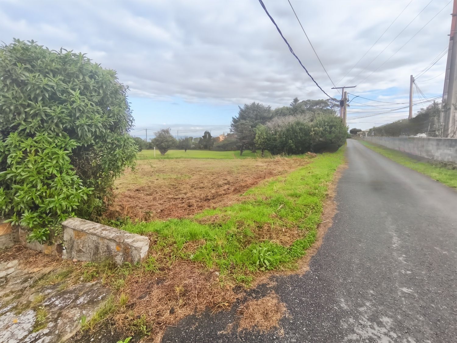 Fincas y solares-Venta-Ferrol-1456644-Foto-8