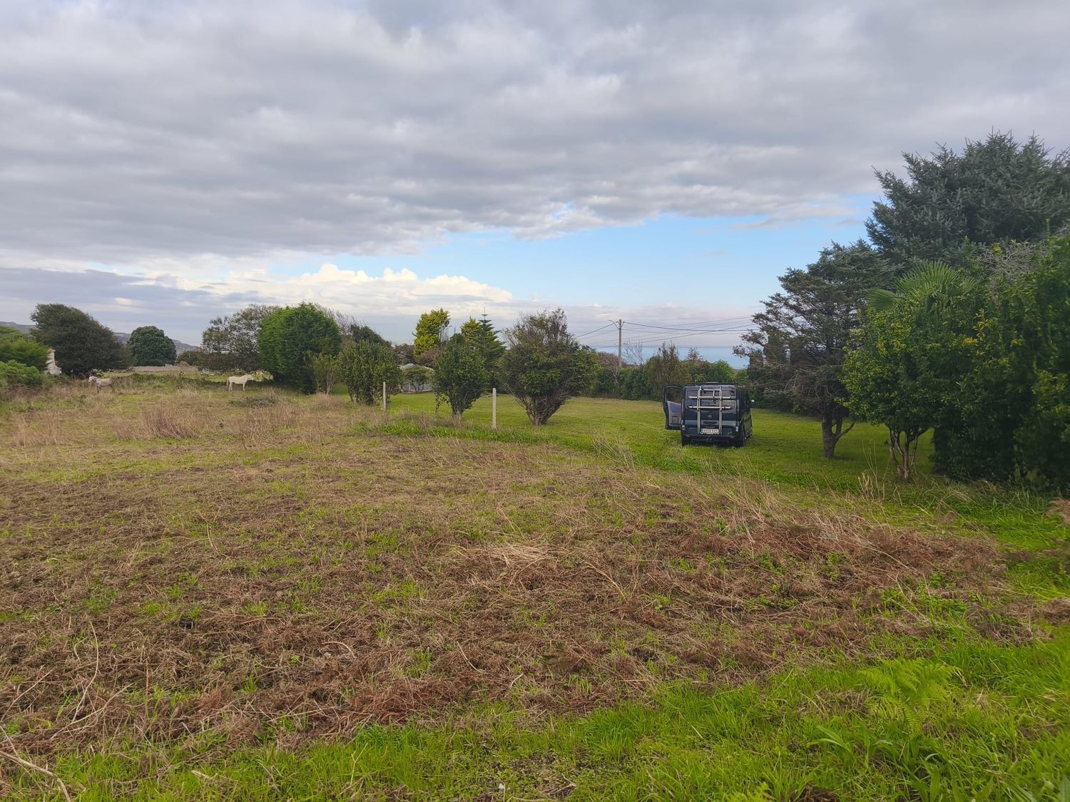 Fincas y solares-Venta-Ferrol-1456644-Foto-10