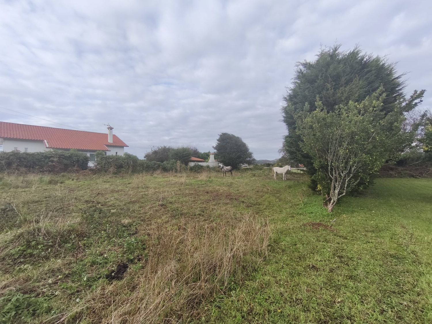 Fincas y solares-Venta-Ferrol-1456644-Foto-11