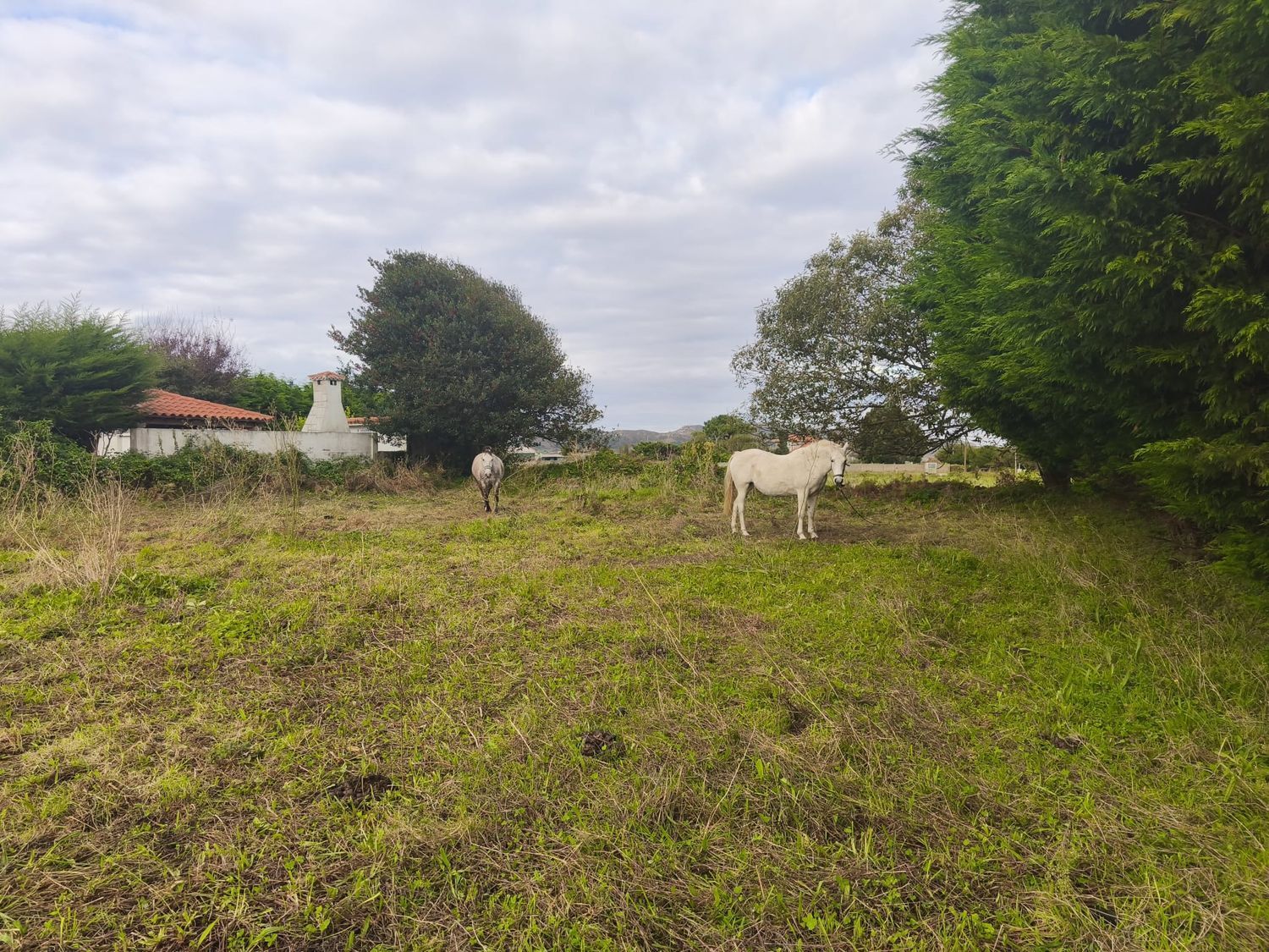 Fincas y solares-Venta-Ferrol-1456644-Foto-12