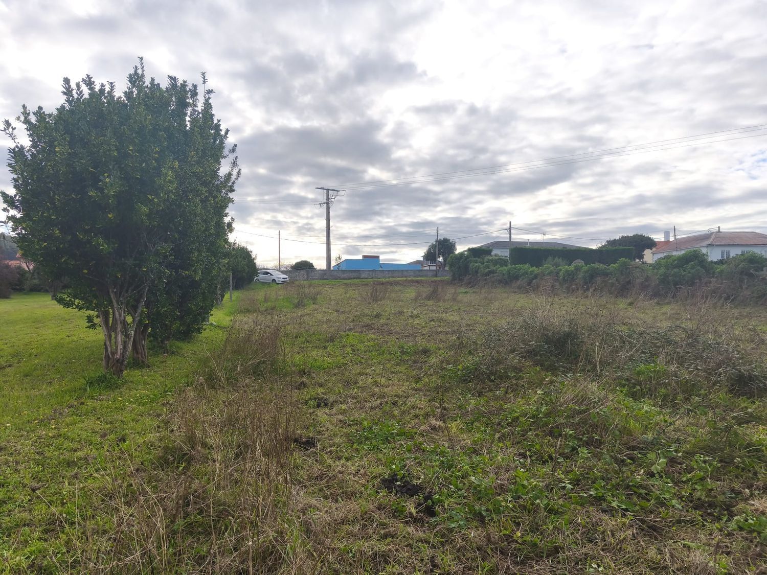 Fincas y solares-Venta-Ferrol-1456644-Foto-13