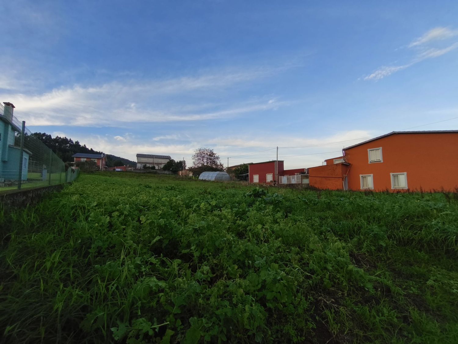 Fincas y solares-Venta-Ferrol-1479523-Foto-4