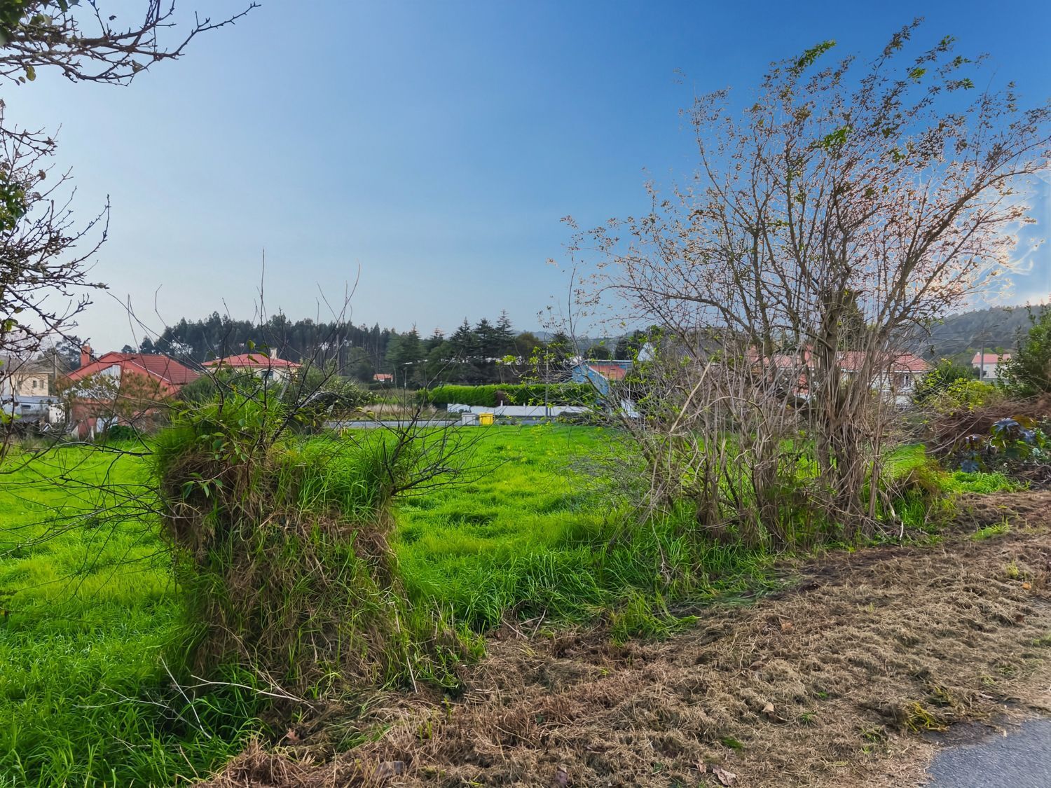 Fincas y solares-Venta-Ferrol-1479523-Foto-8