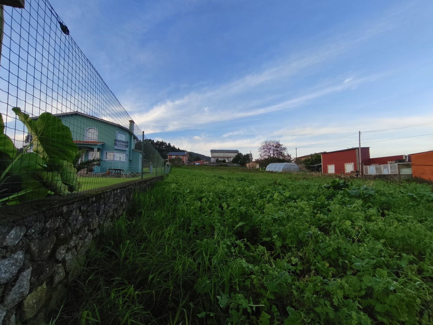 Fincas y solares-Venta-Ferrol-1479523-Foto-9