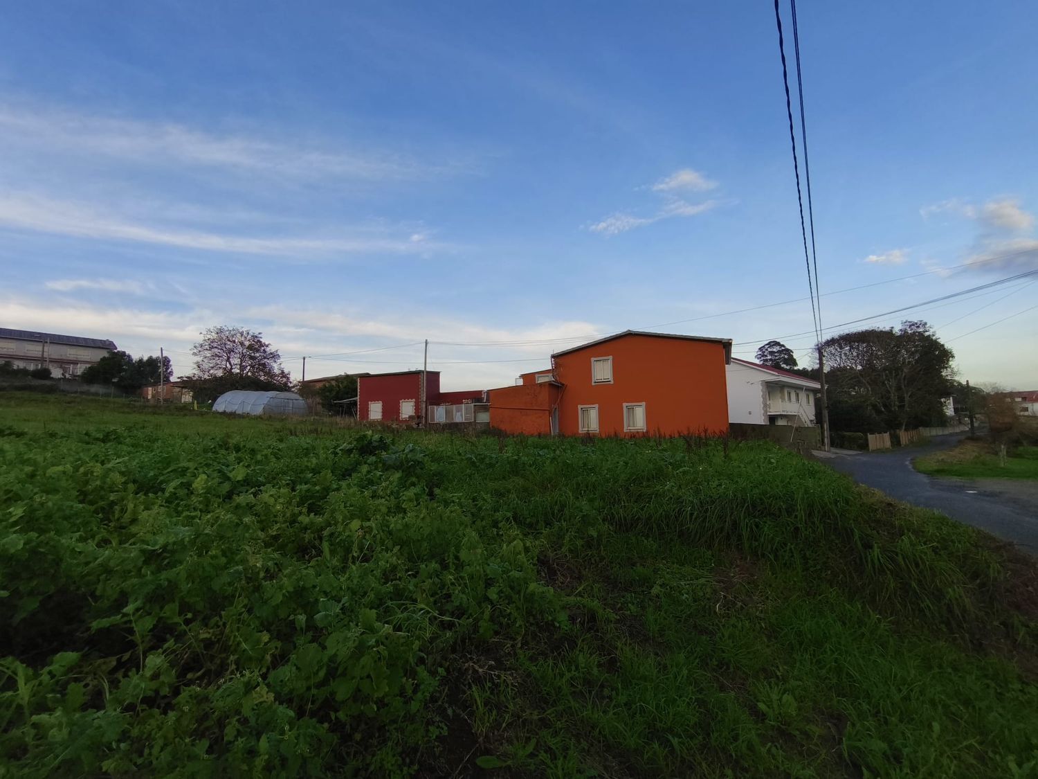 Fincas y solares-Venta-Ferrol-1479523-Foto-6