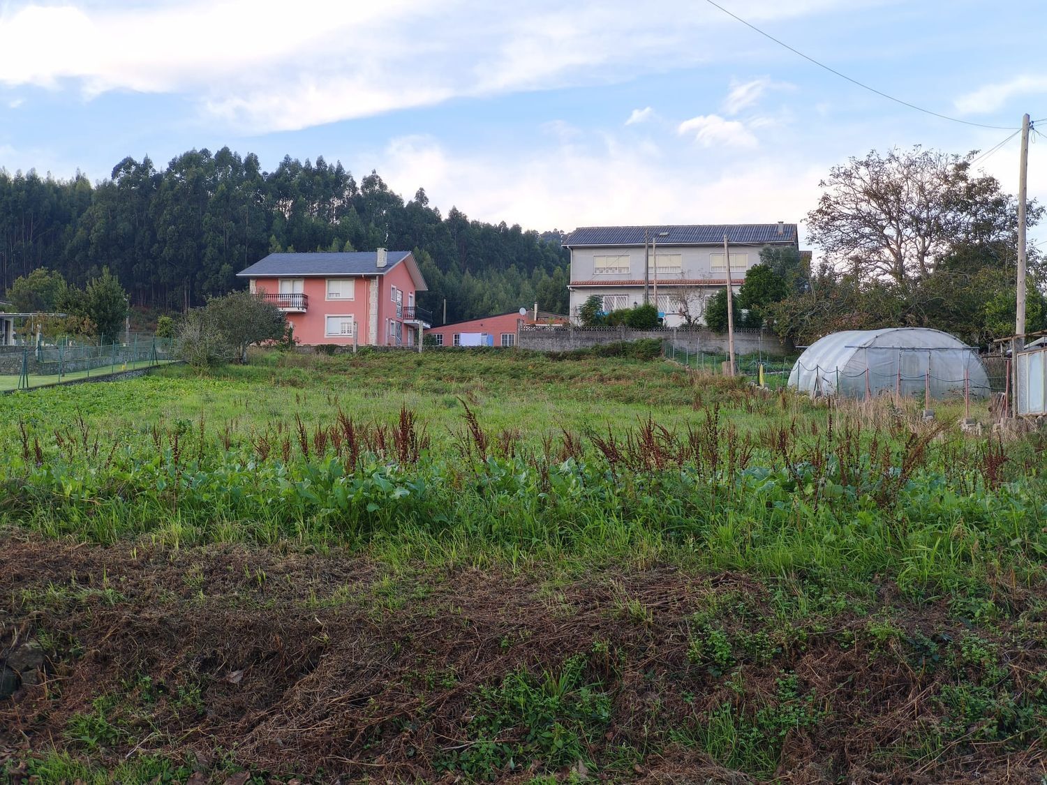 Fincas y solares-Venta-Ferrol-1479523-Foto-10