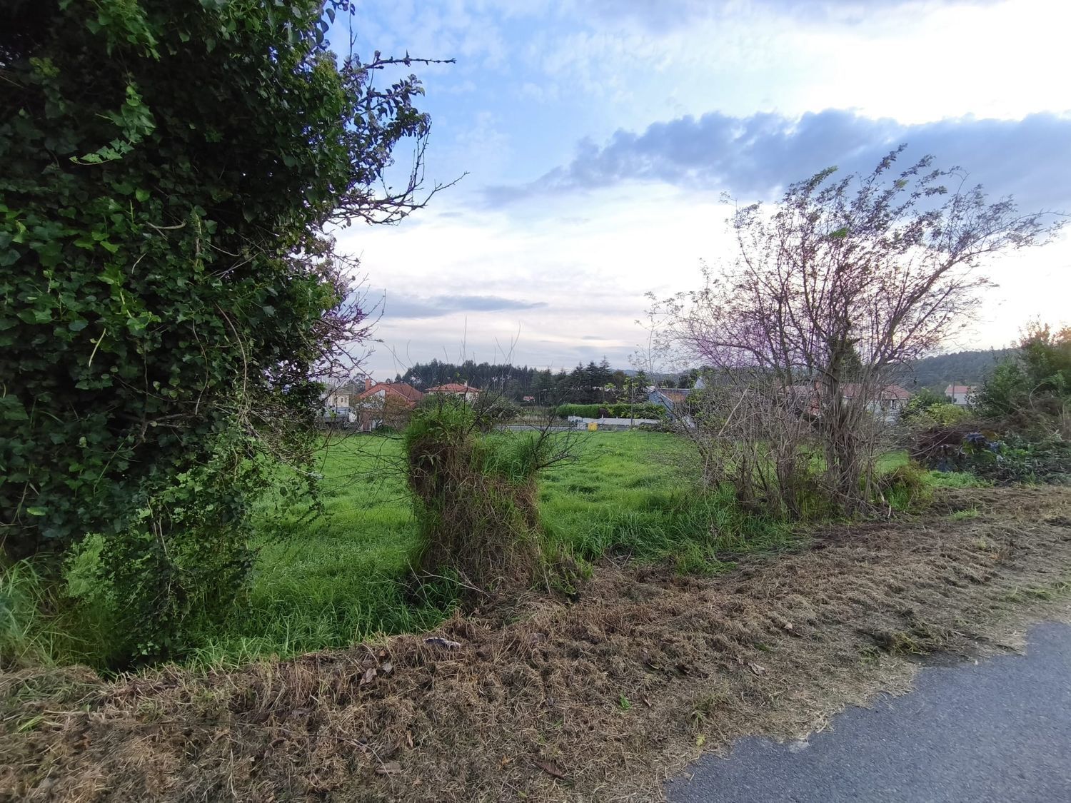 Fincas y solares-Venta-Ferrol-1479523-Foto-16