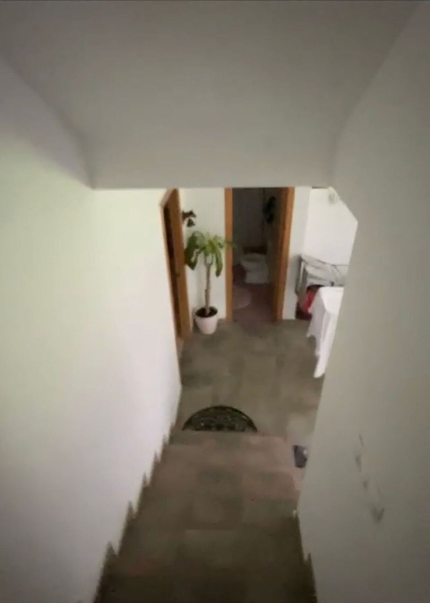 Casas o chalets-Venta-Vila de Cruces-1830068-Foto-16
