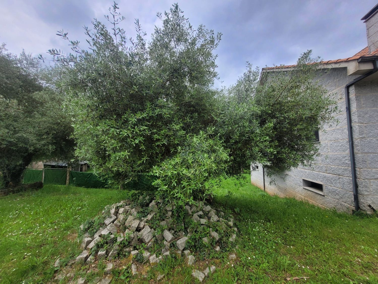 Casas o chalets-Venta-Vila de Cruces-1830068-Foto-24