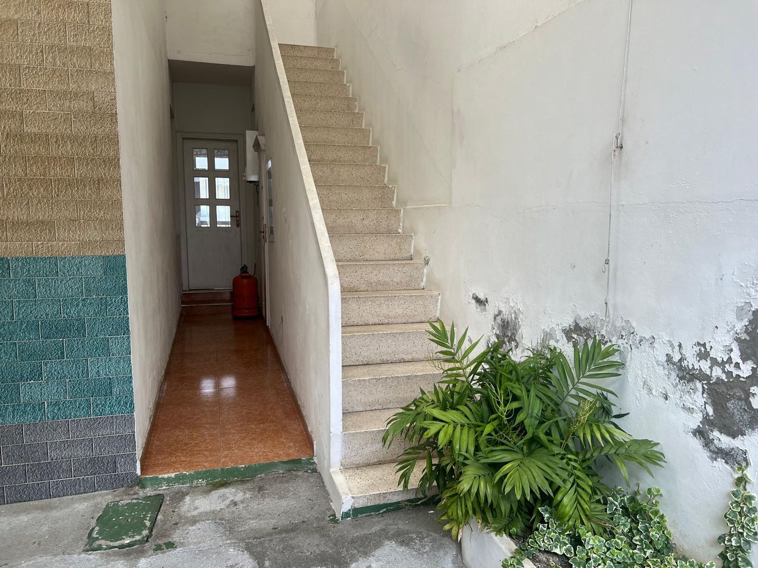 Casas o chalets-Venta-NarÃ³n-1719301-Foto-17