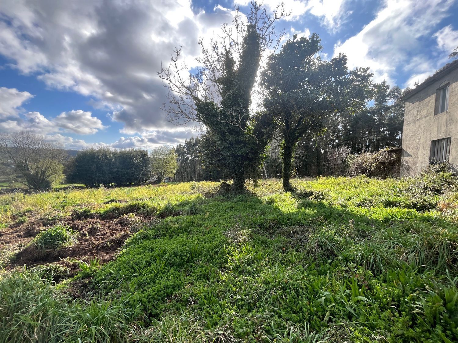 Casas o chalets-Venta-ValdoviÃ±o-1709448-Foto-3