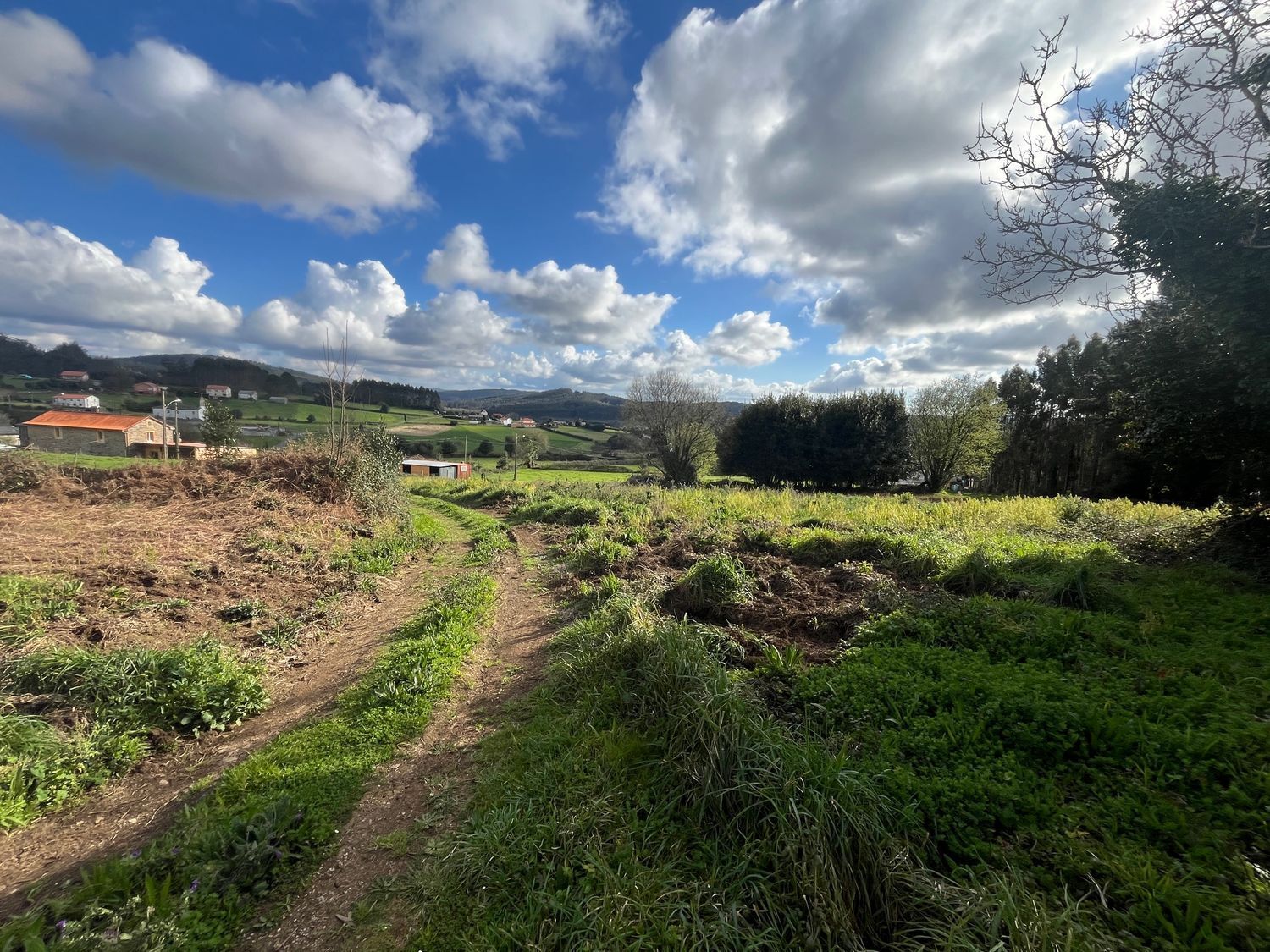 Casas o chalets-Venta-ValdoviÃ±o-1709448-Foto-4