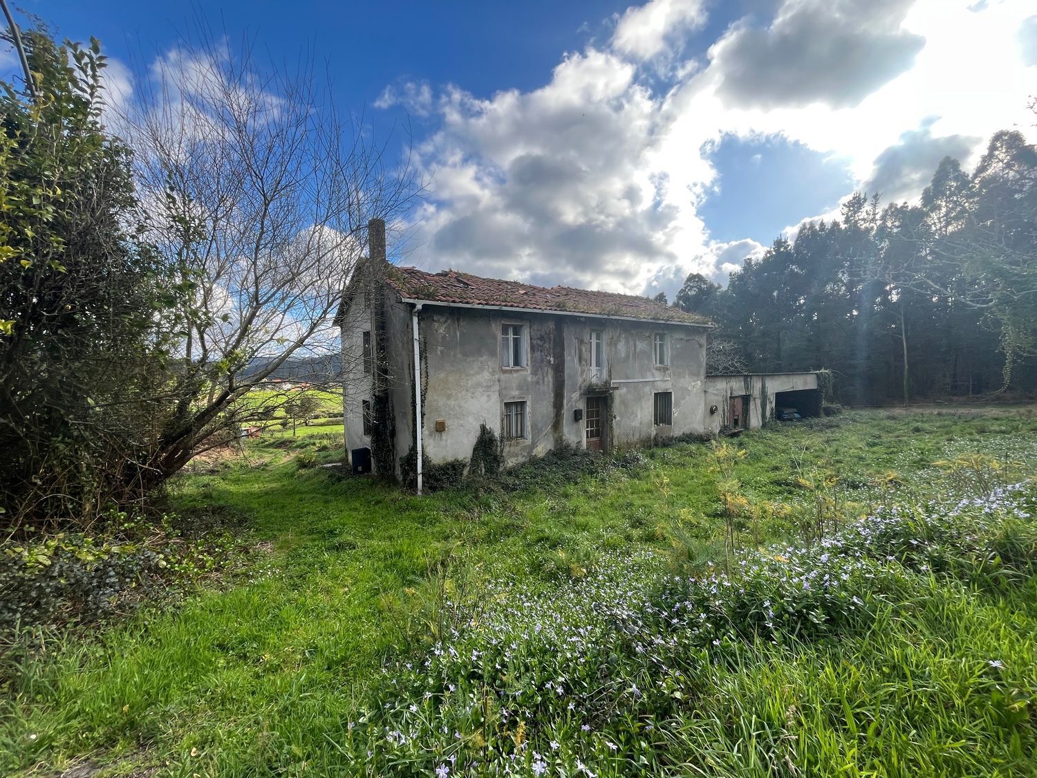 Casas o chalets-Venta-ValdoviÃ±o-1709448-Foto-6