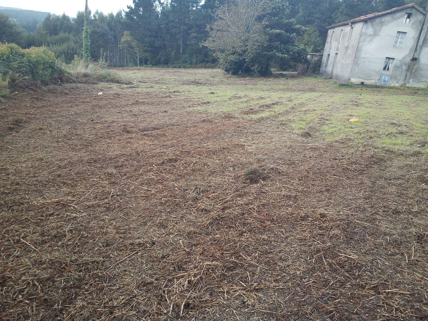 Casas o chalets-Venta-ValdoviÃ±o-1709448-Foto-16