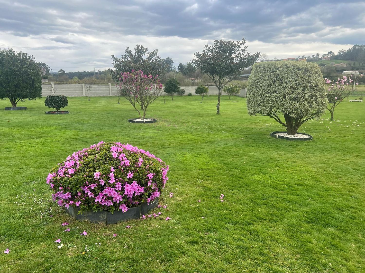 Casas o chalets-Venta-NarÃ³n-1680549-Foto-30