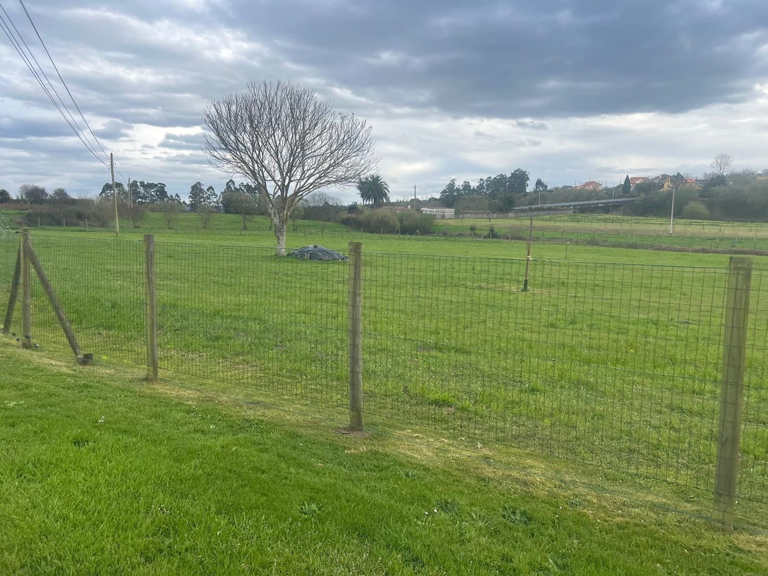 Casas o chalets-Venta-NarÃ³n-1680549-Foto-51