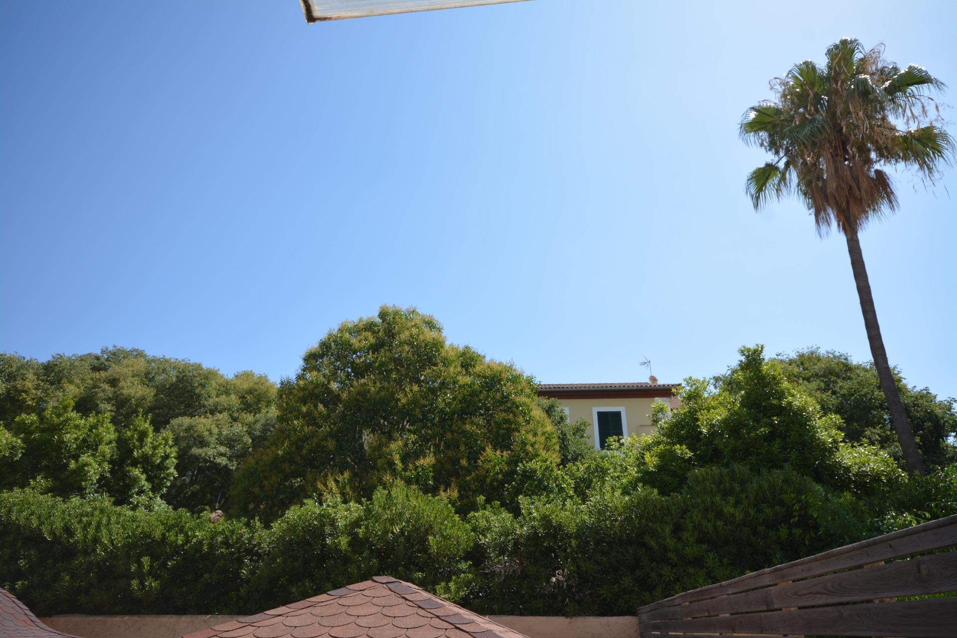 Pisos-Venta-MarratxÃ­-1828775-Foto-59