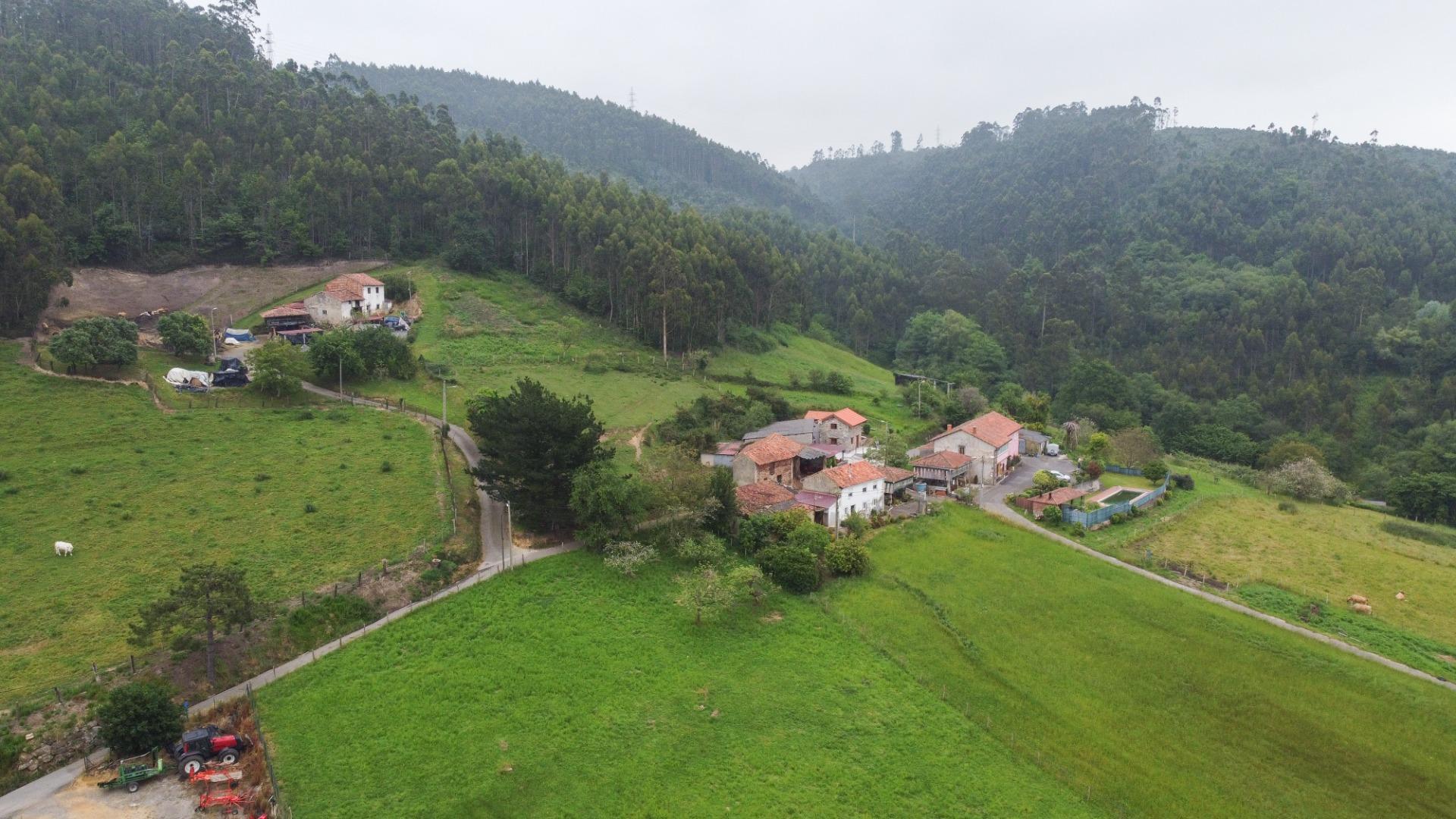Fincas y solares-Venta-CarreÃ±o-1744141-Foto-15