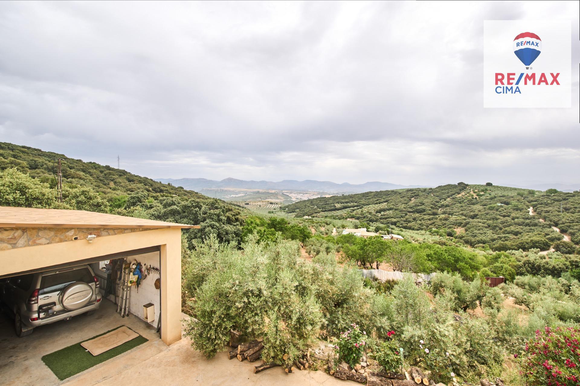 Casas o chalets-Venta-AlcalÃ¡ la Real-2064089-Foto-43