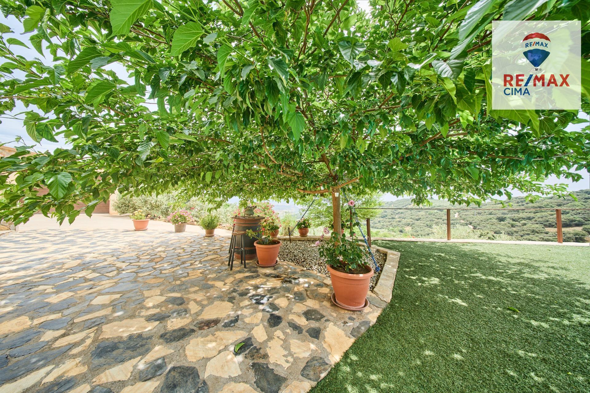 Casas o chalets-Venta-AlcalÃ¡ la Real-2064089-Foto-46