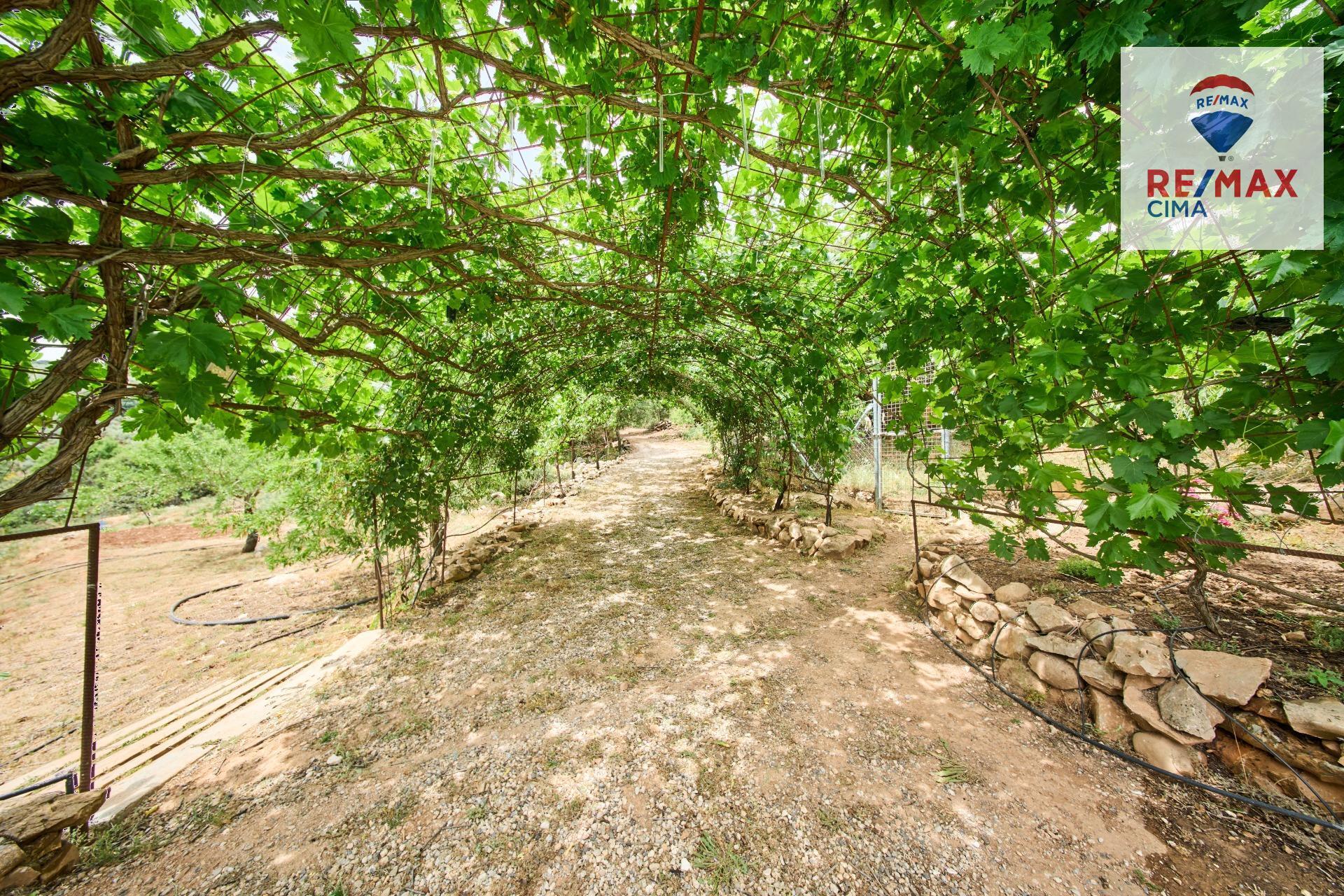 Casas o chalets-Venta-AlcalÃ¡ la Real-2064089-Foto-53