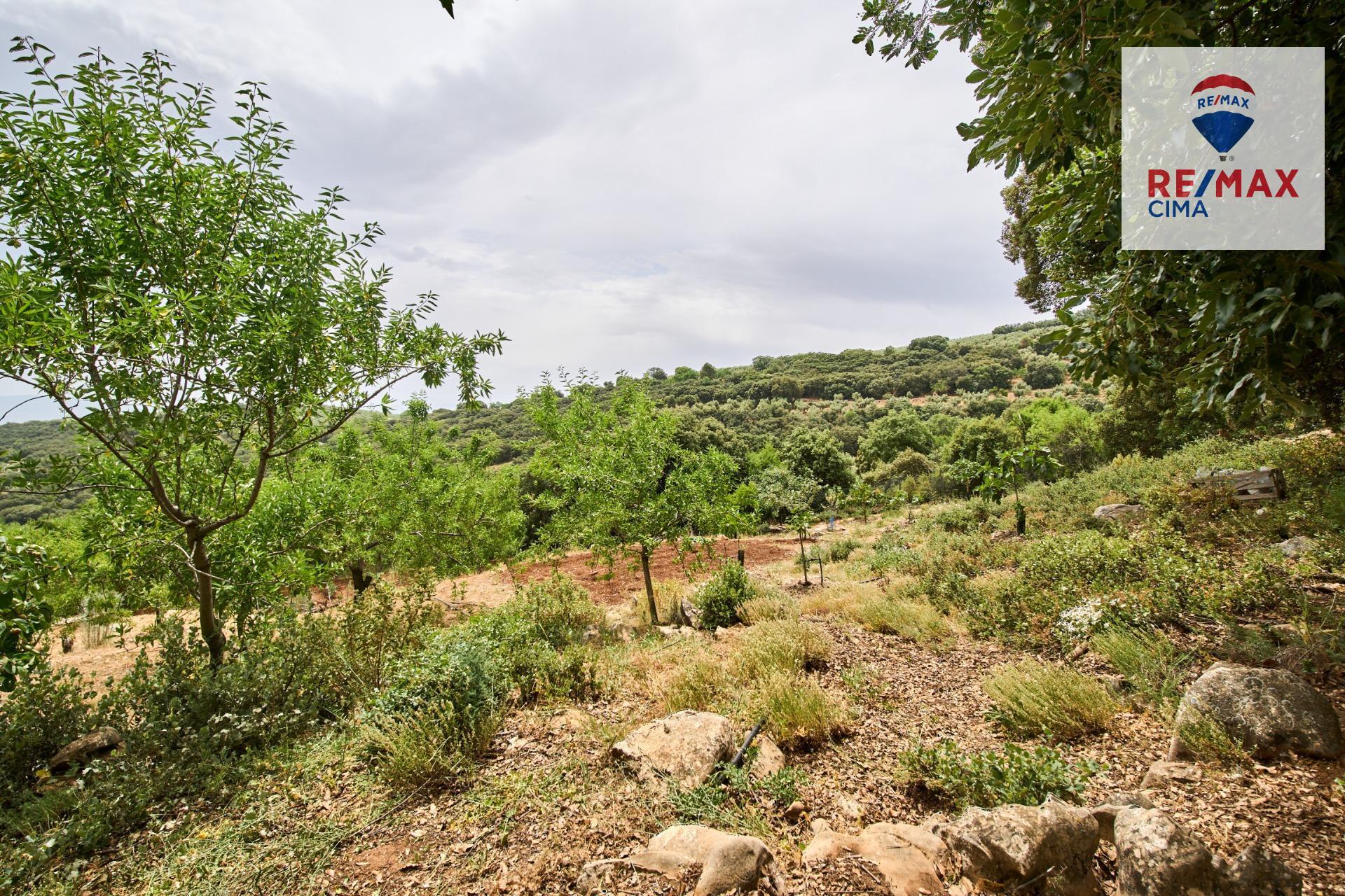 Casas o chalets-Venta-AlcalÃ¡ la Real-2064089-Foto-56