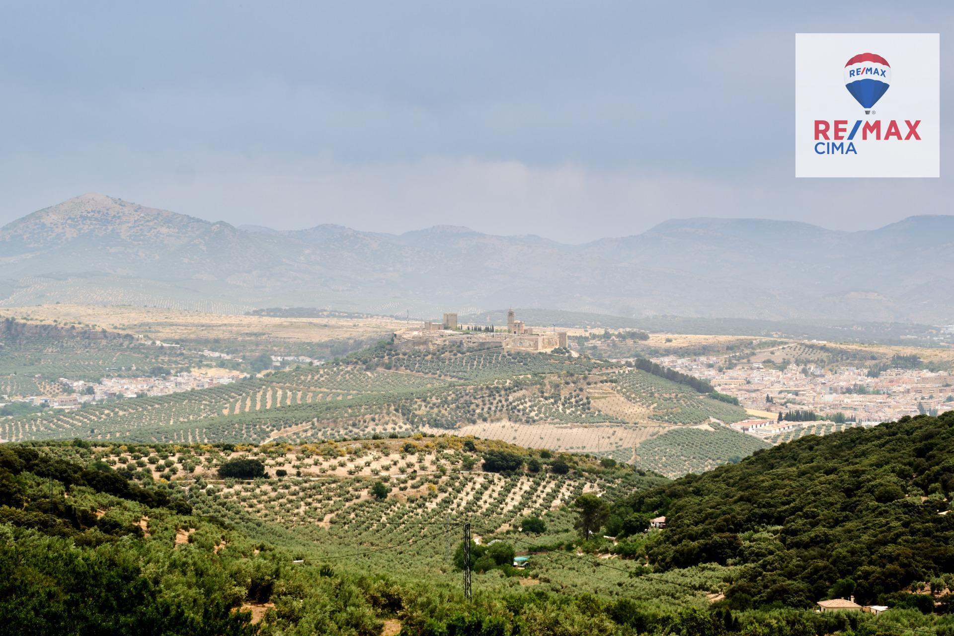 Casas o chalets-Venta-AlcalÃ¡ la Real-2064089-Foto-61