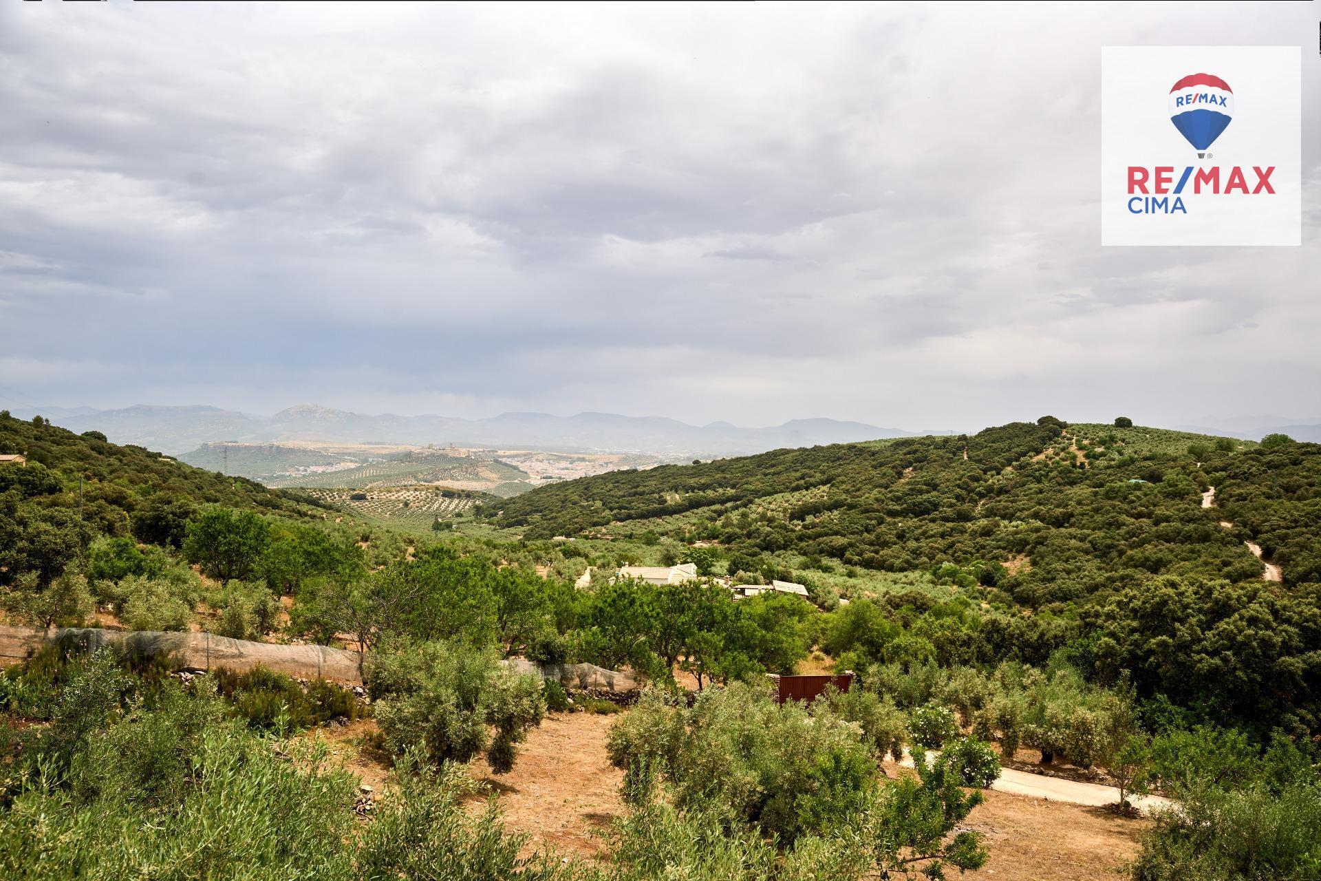 Casas o chalets-Venta-AlcalÃ¡ la Real-2064089-Foto-62