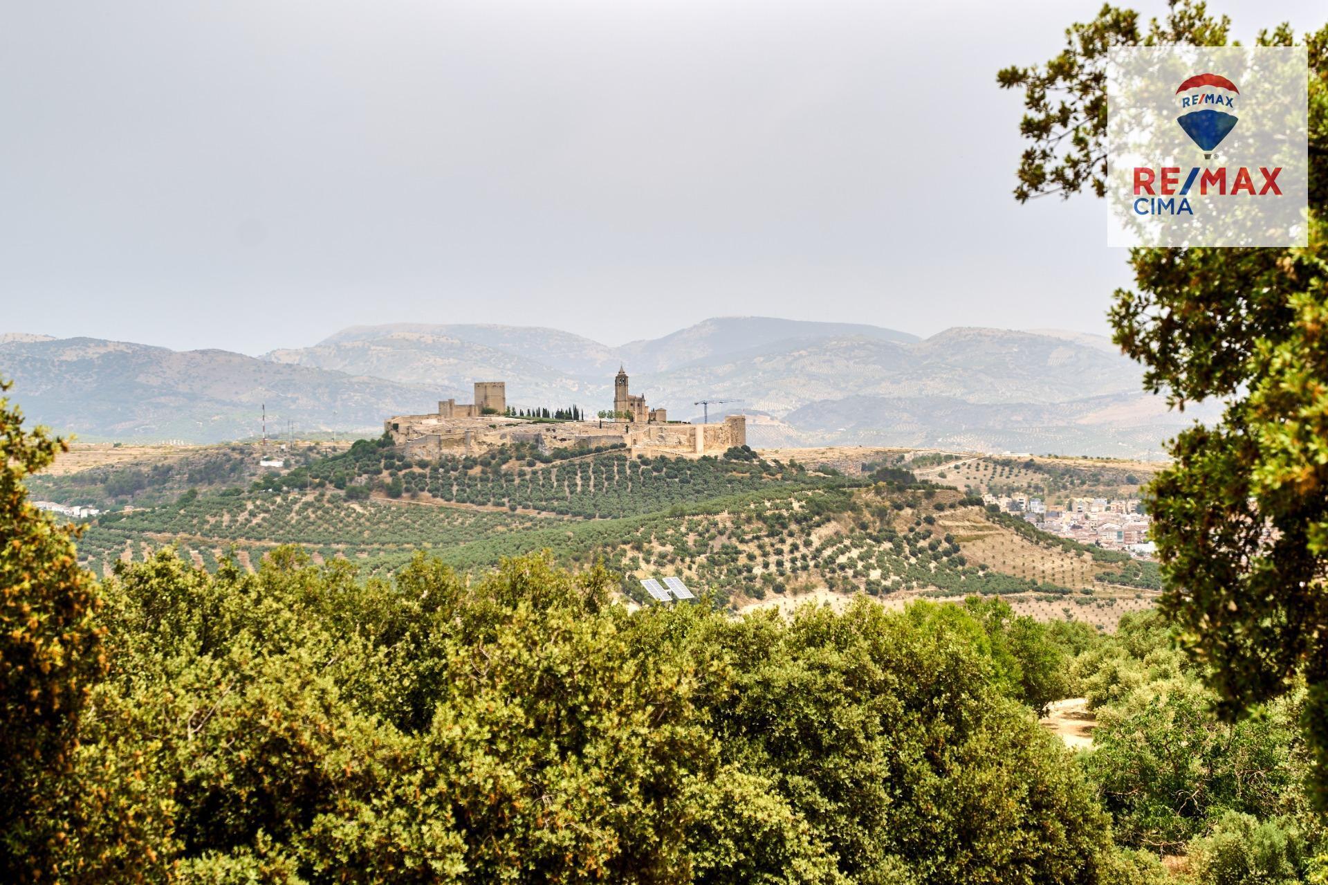 Casas o chalets-Venta-AlcalÃ¡ la Real-2064089-Foto-65