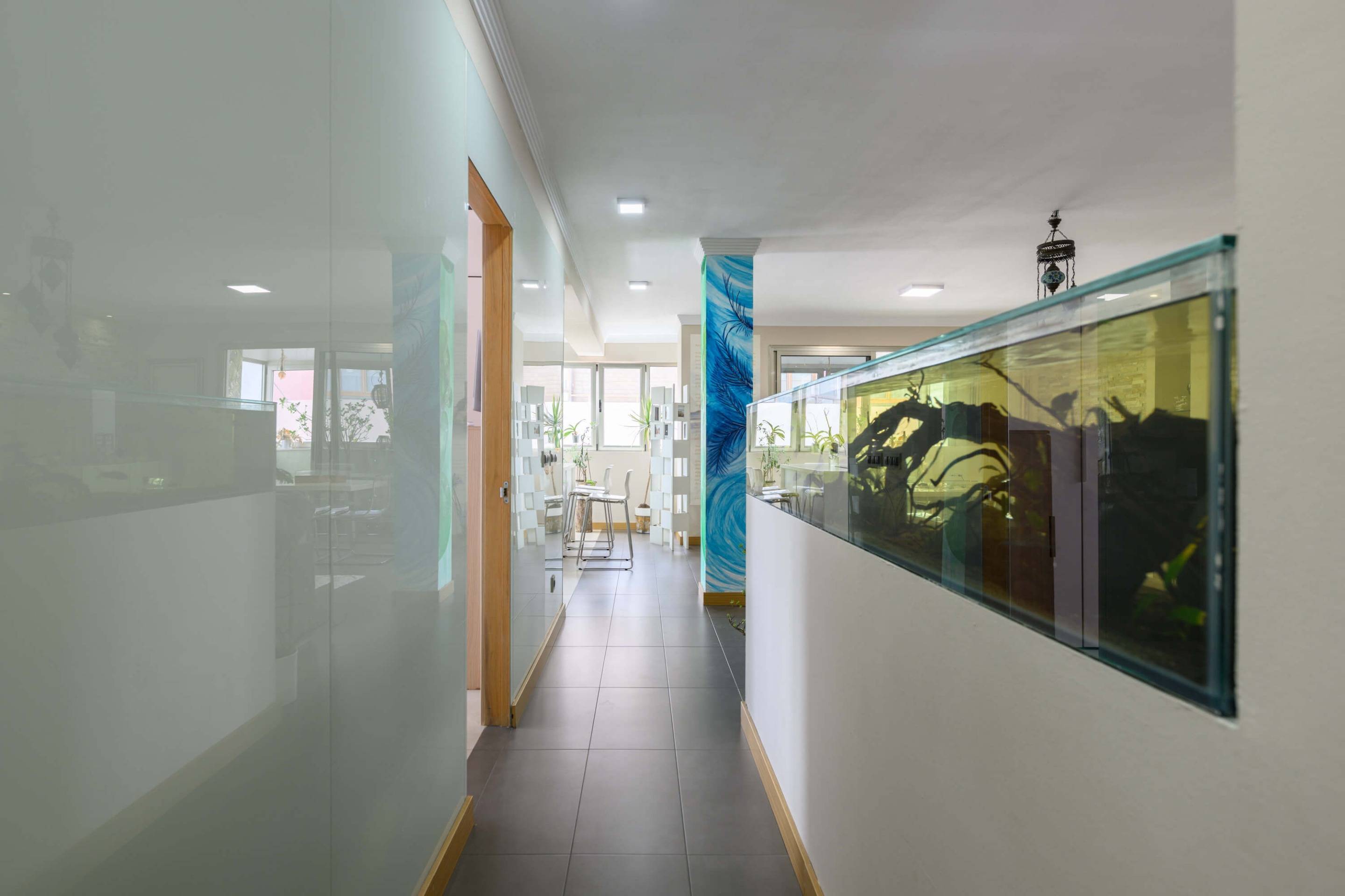 Pisos-Venta-Las Palmas de Gran Canaria-1830092-Foto-5