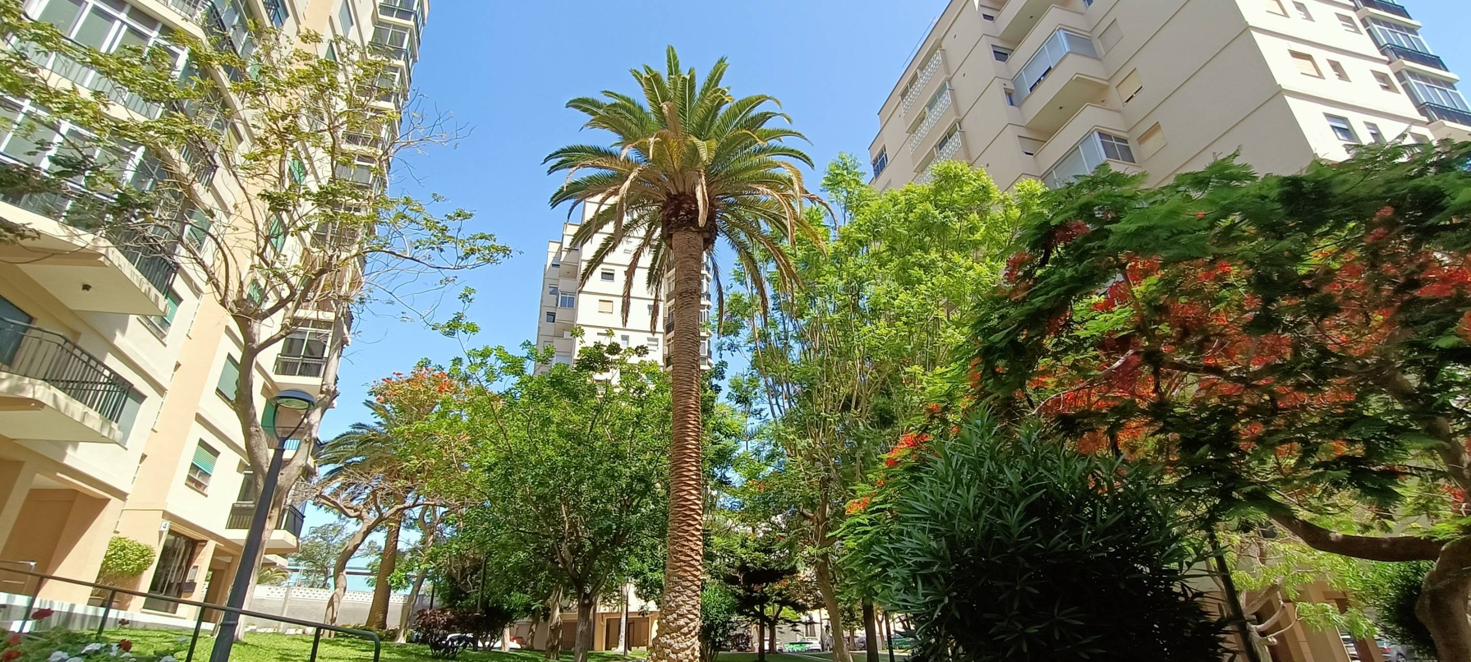 Pisos-Venta-Santa Cruz de Tenerife-1830423-Foto-2