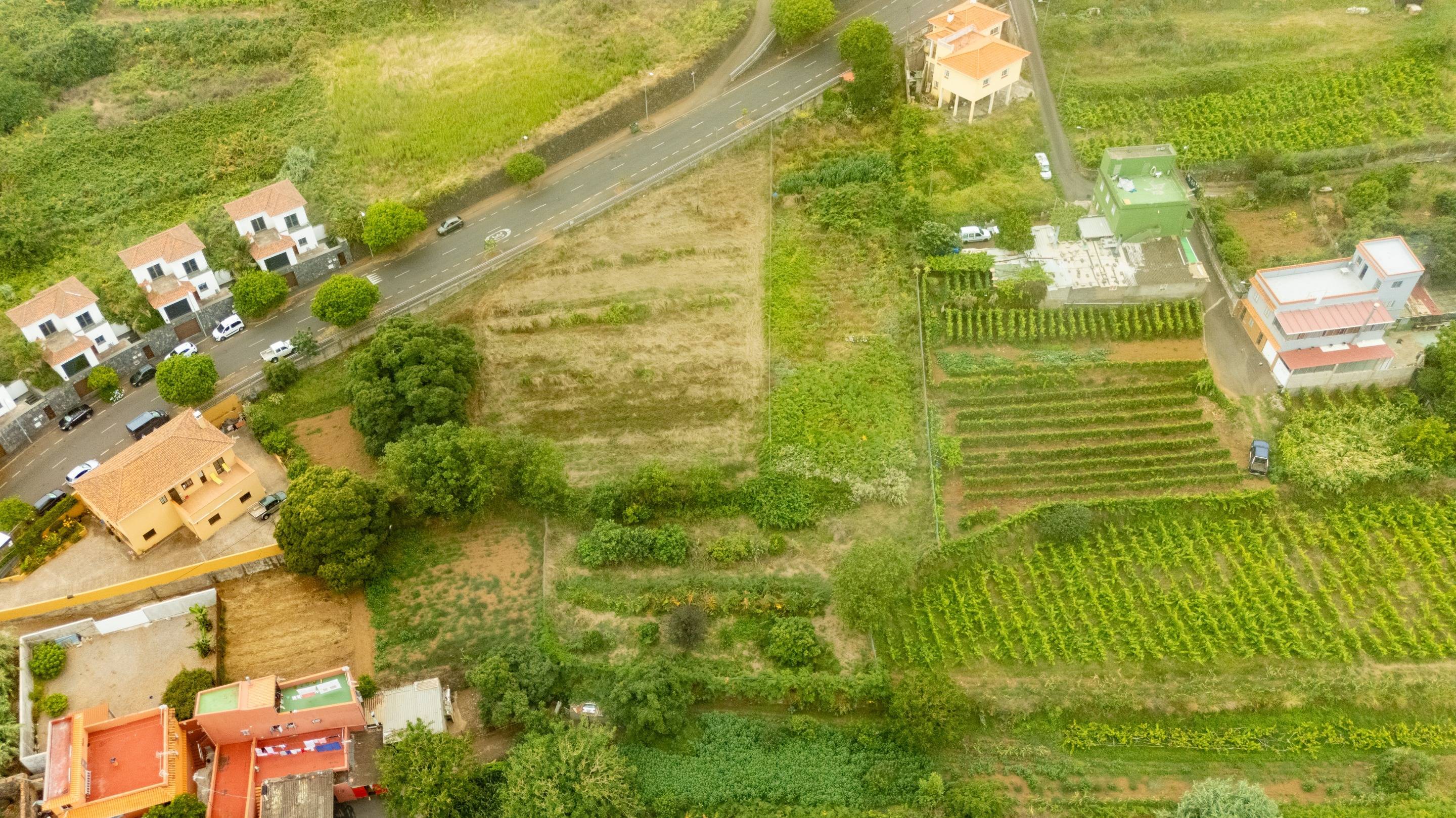 Fincas y solares-Venta-El Sauzal-1830417-Foto-2