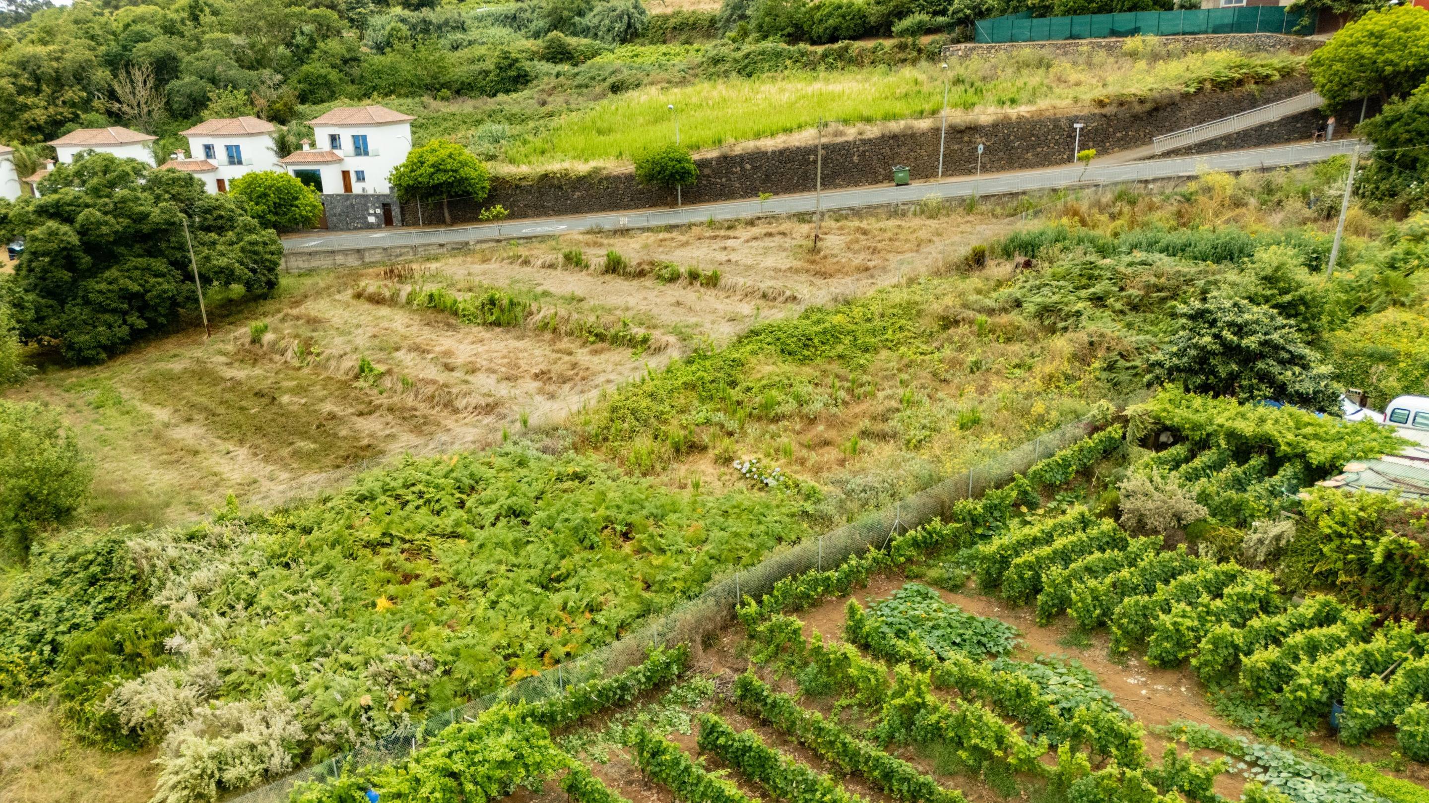 Fincas y solares-Venta-El Sauzal-1830417