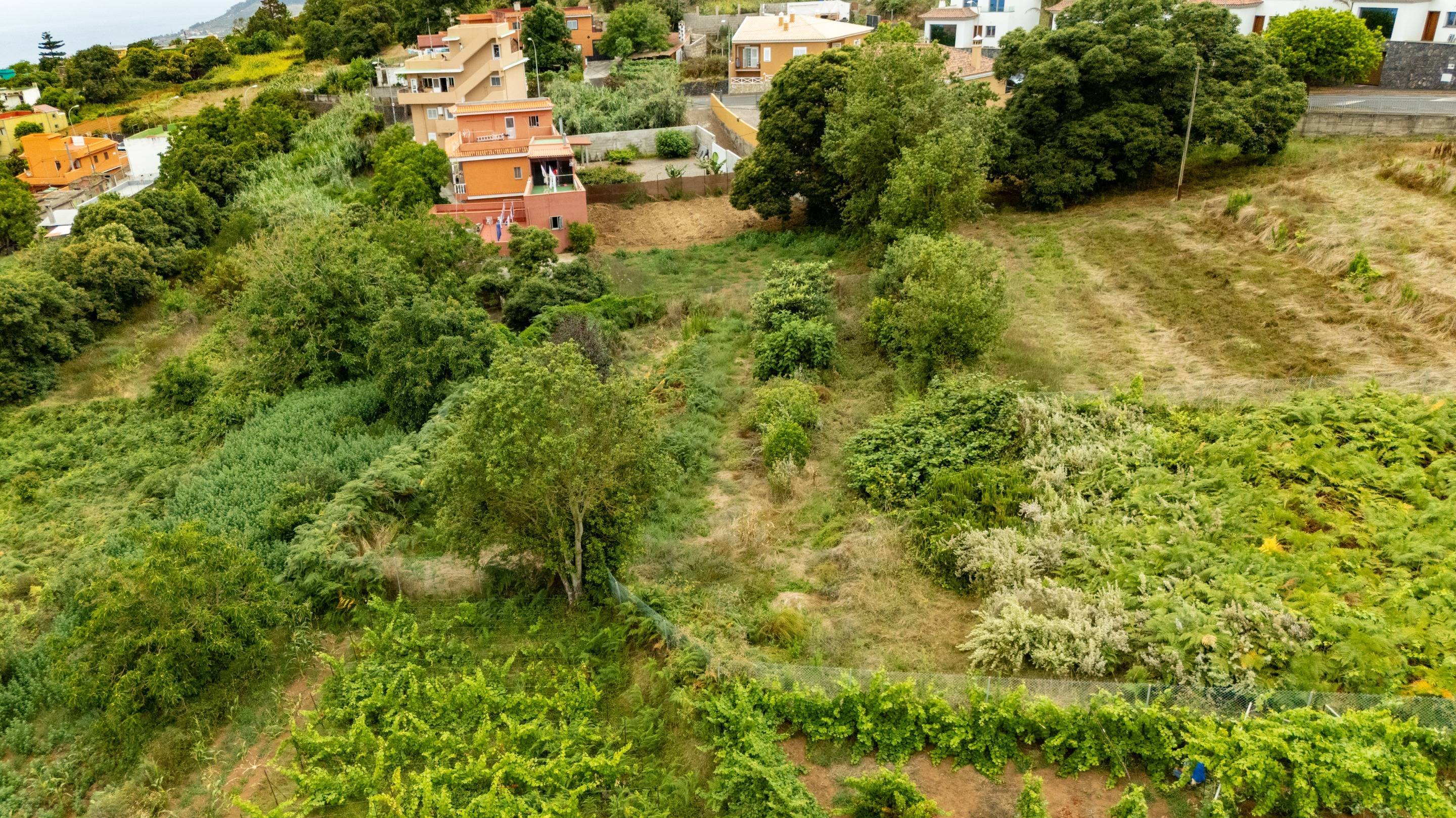 Fincas y solares-Venta-El Sauzal-1830417-Foto-4