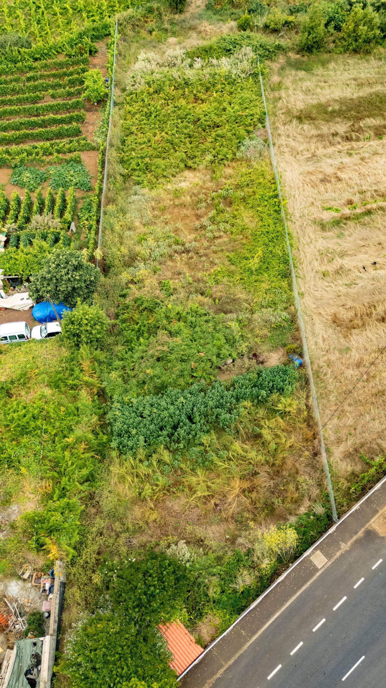 Fincas y solares-Venta-El Sauzal-1830417-Foto-10