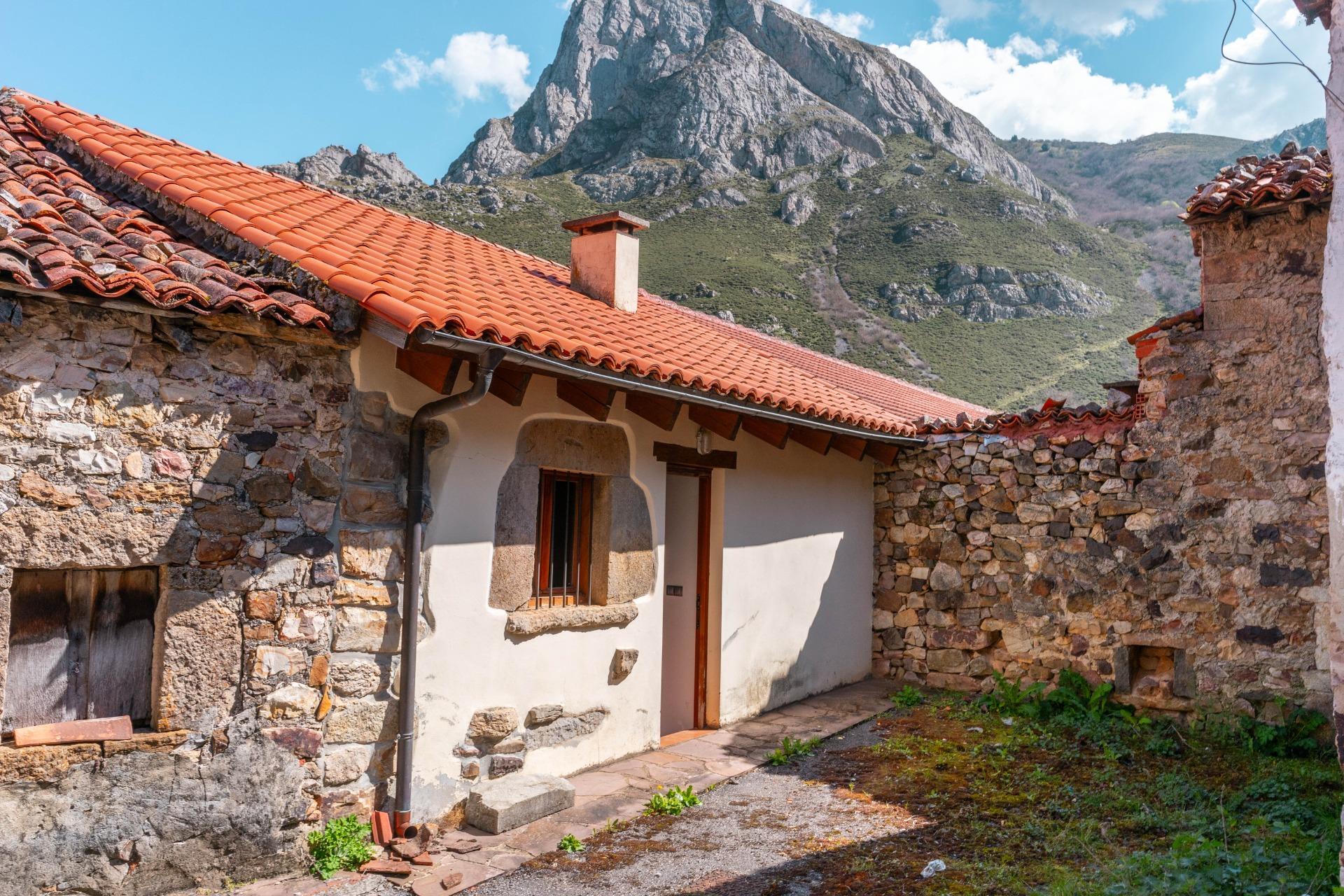 Casas o chalets-Venta-Somiedo-1711006-Foto-30