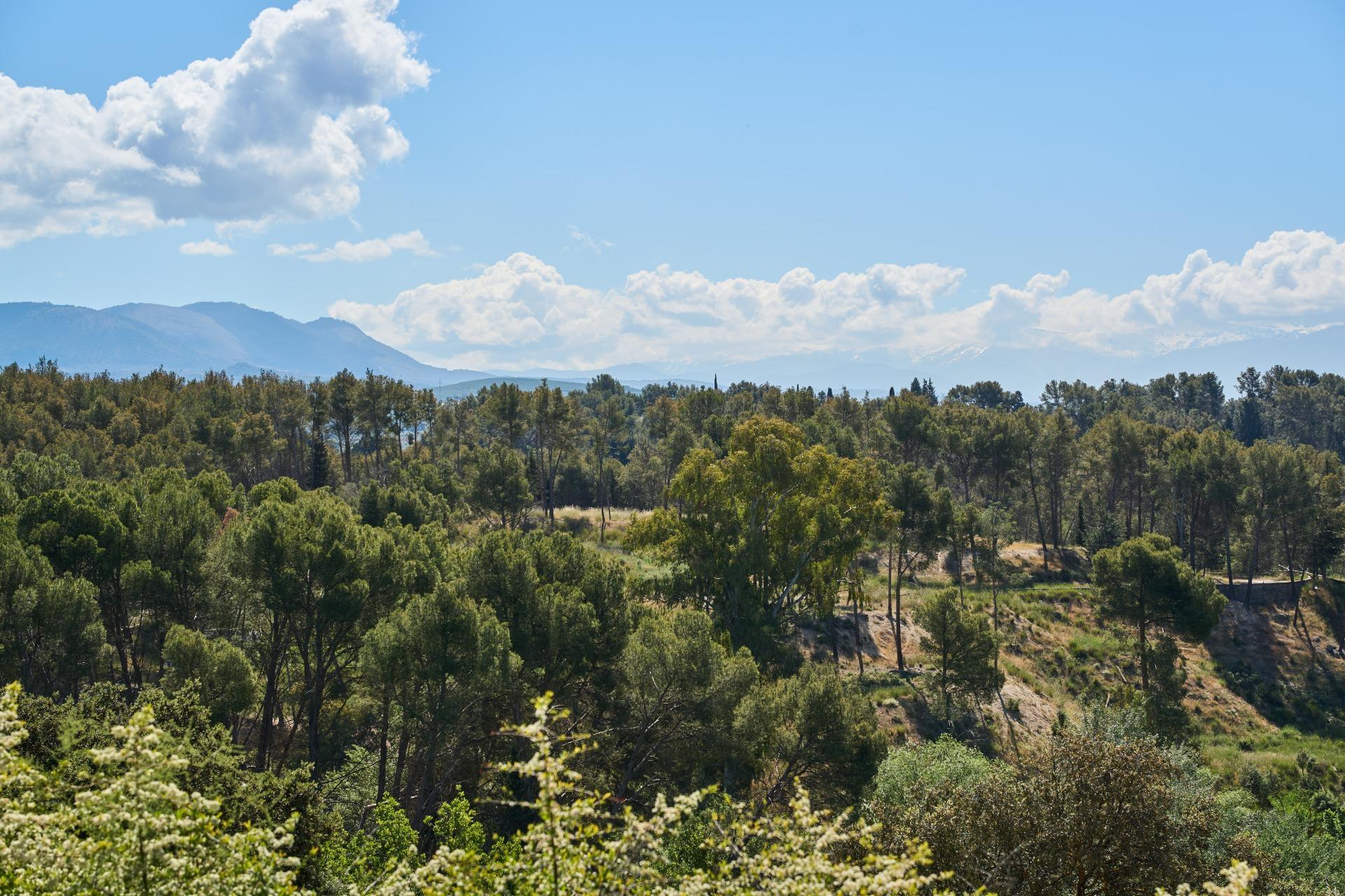 Casas o chalets-Venta-Atarfe-1729572-Foto-33
