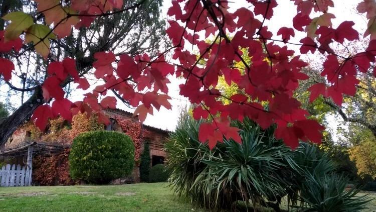 Pisos-Venta-Galaroza-1830771-Foto-6