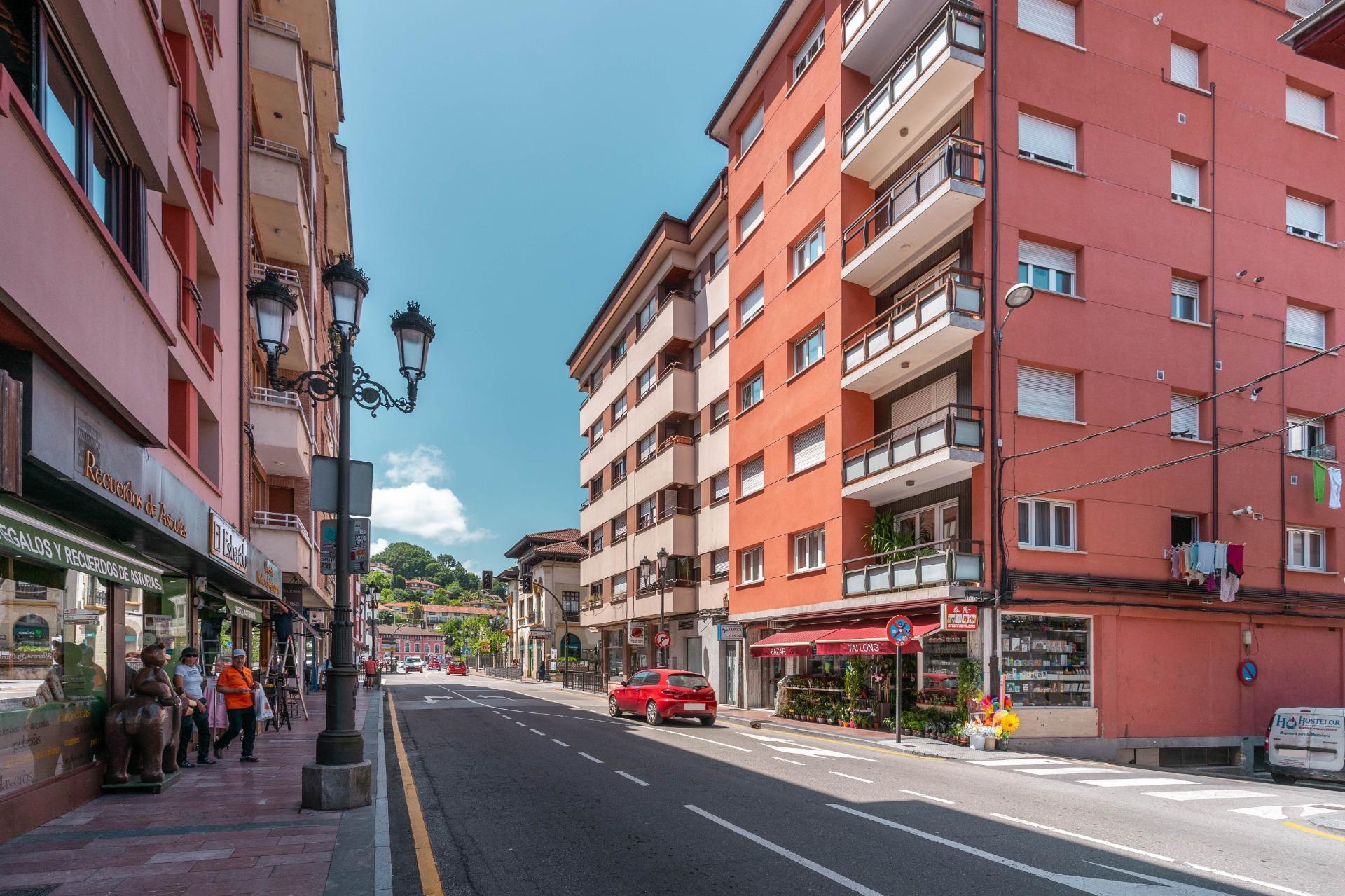 Negocios-Alquiler-Cangas de OnÃs-1885348-Foto-3