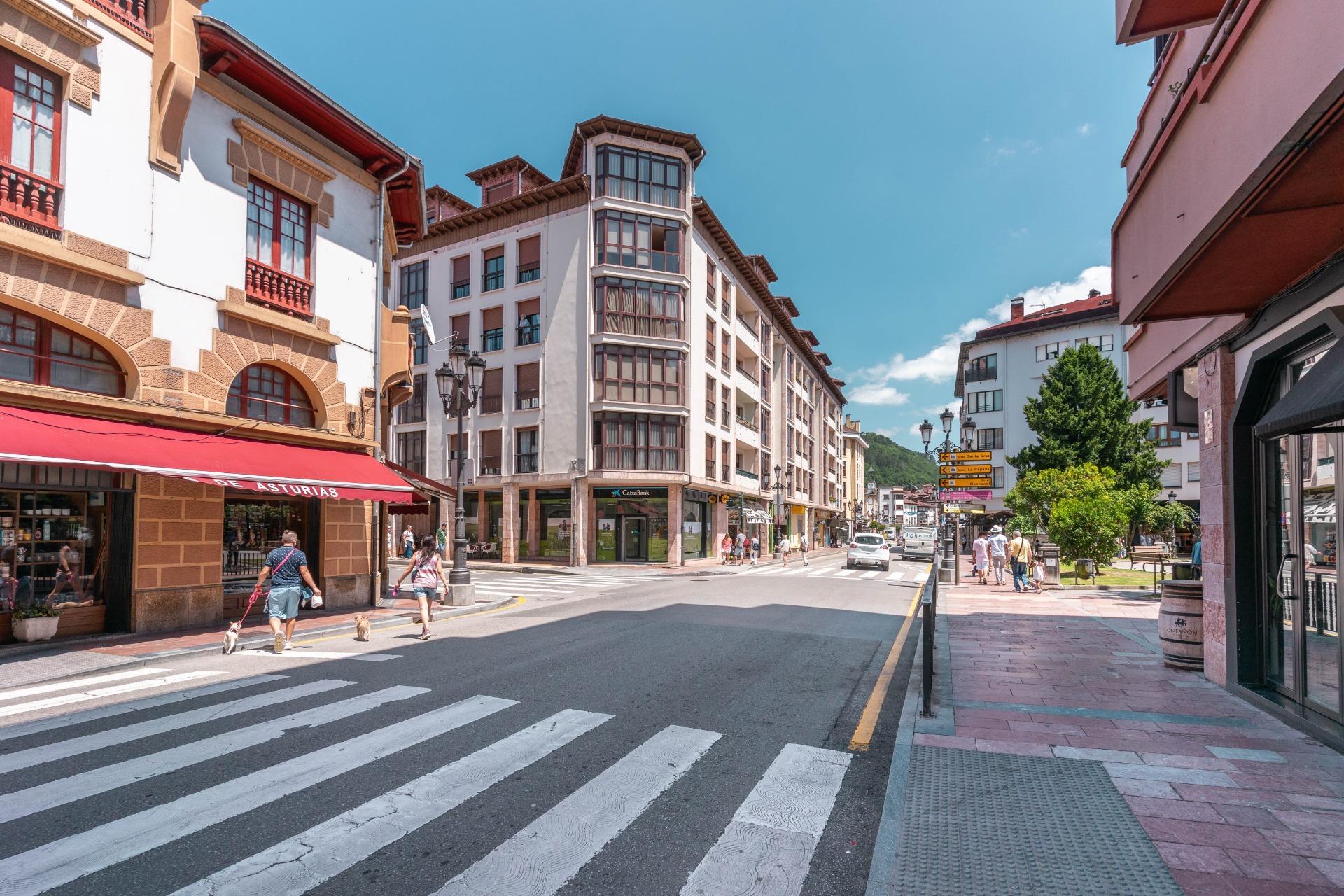 Negocios-Alquiler-Cangas de OnÃs-1885348-Foto-4