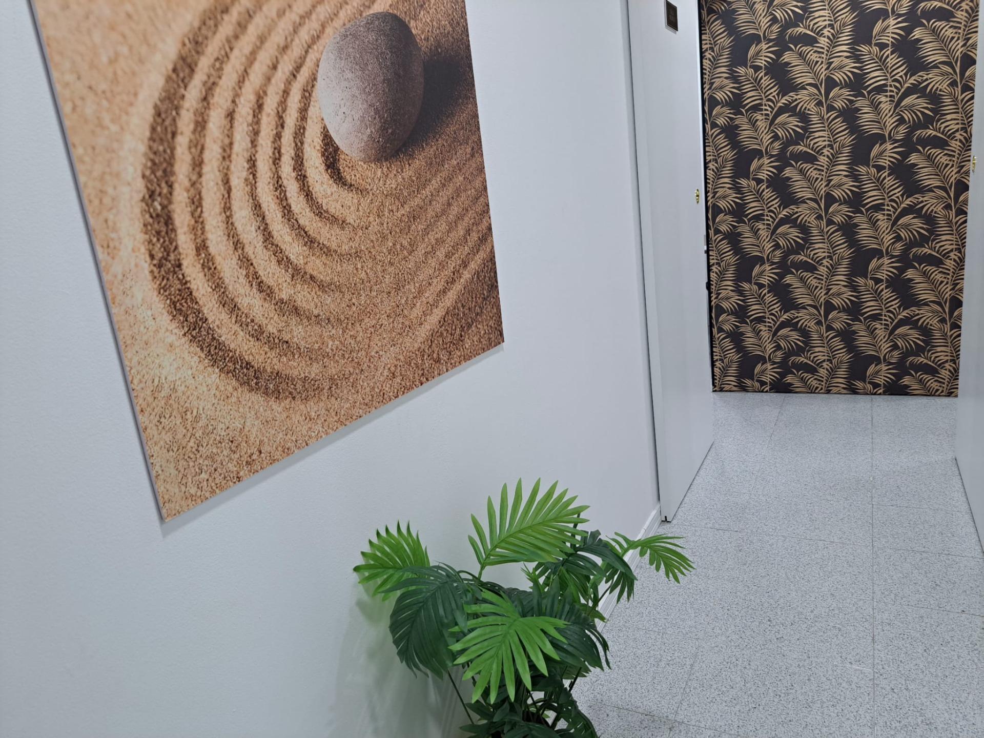 Negocios-Venta-Palma de Mallorca-1832246-Foto-13