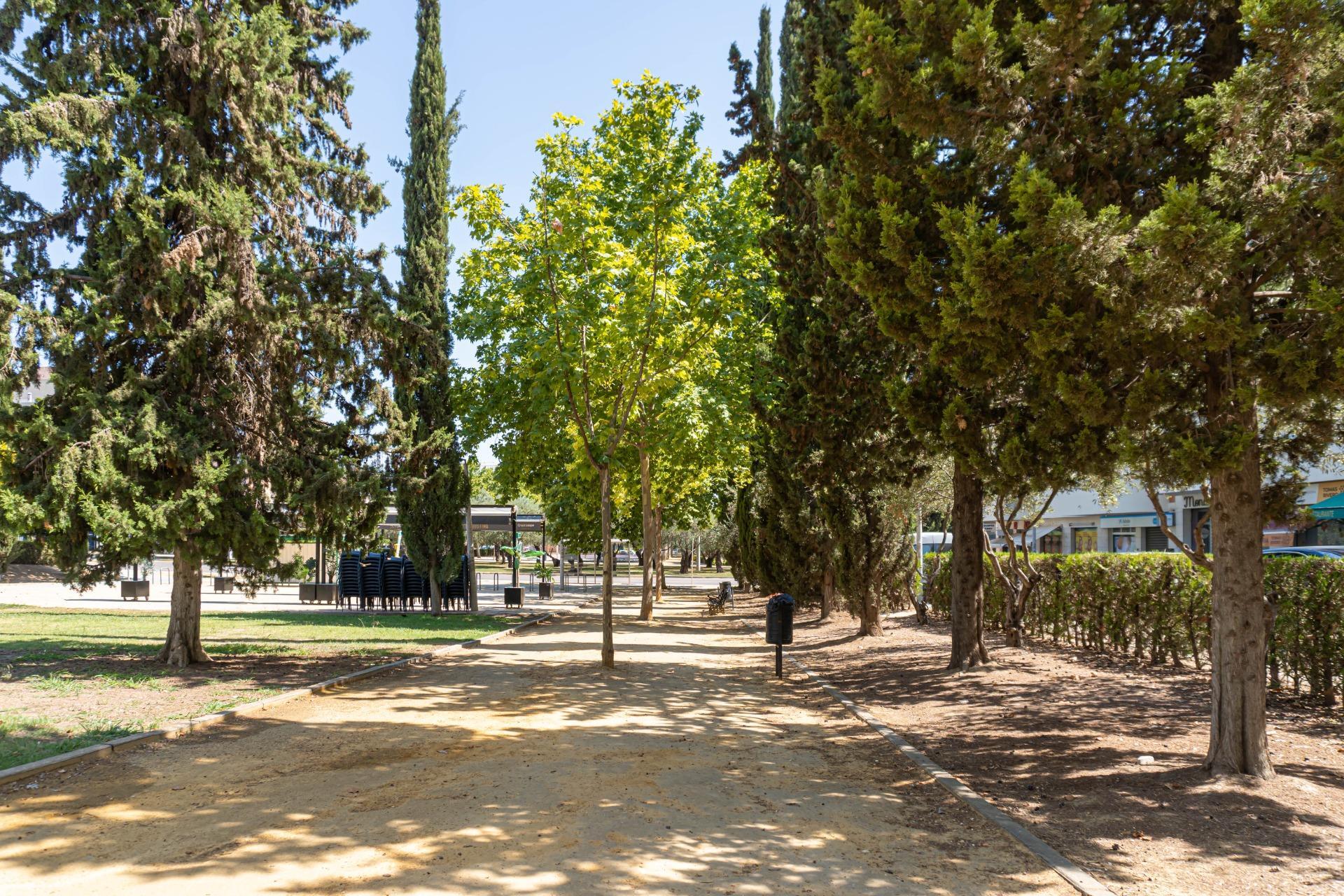 Pisos-Venta-Bormujos-1830988-Foto-39