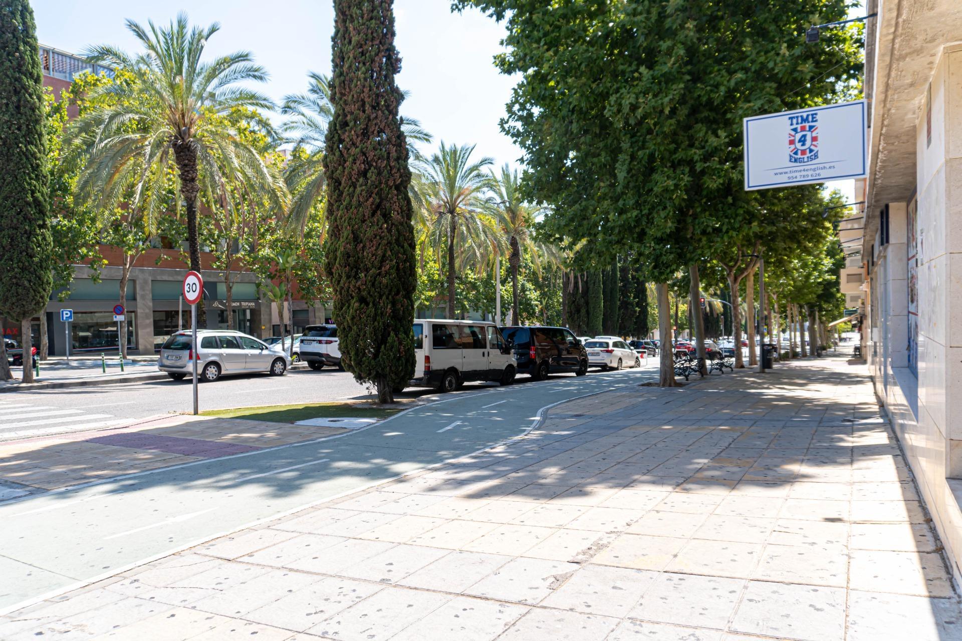 Pisos-Venta-Bormujos-1830988-Foto-42