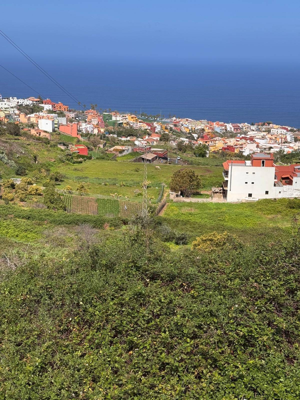 Fincas y solares-Venta-Los Realejos-1712843-Foto-7