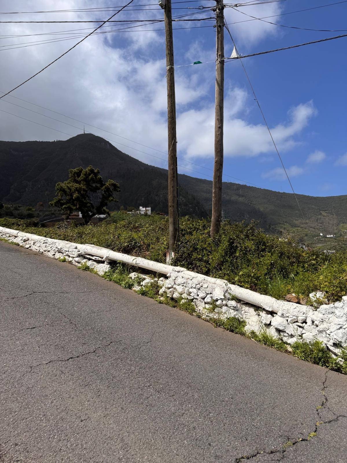 Fincas y solares-Venta-Los Realejos-1712843-Foto-11