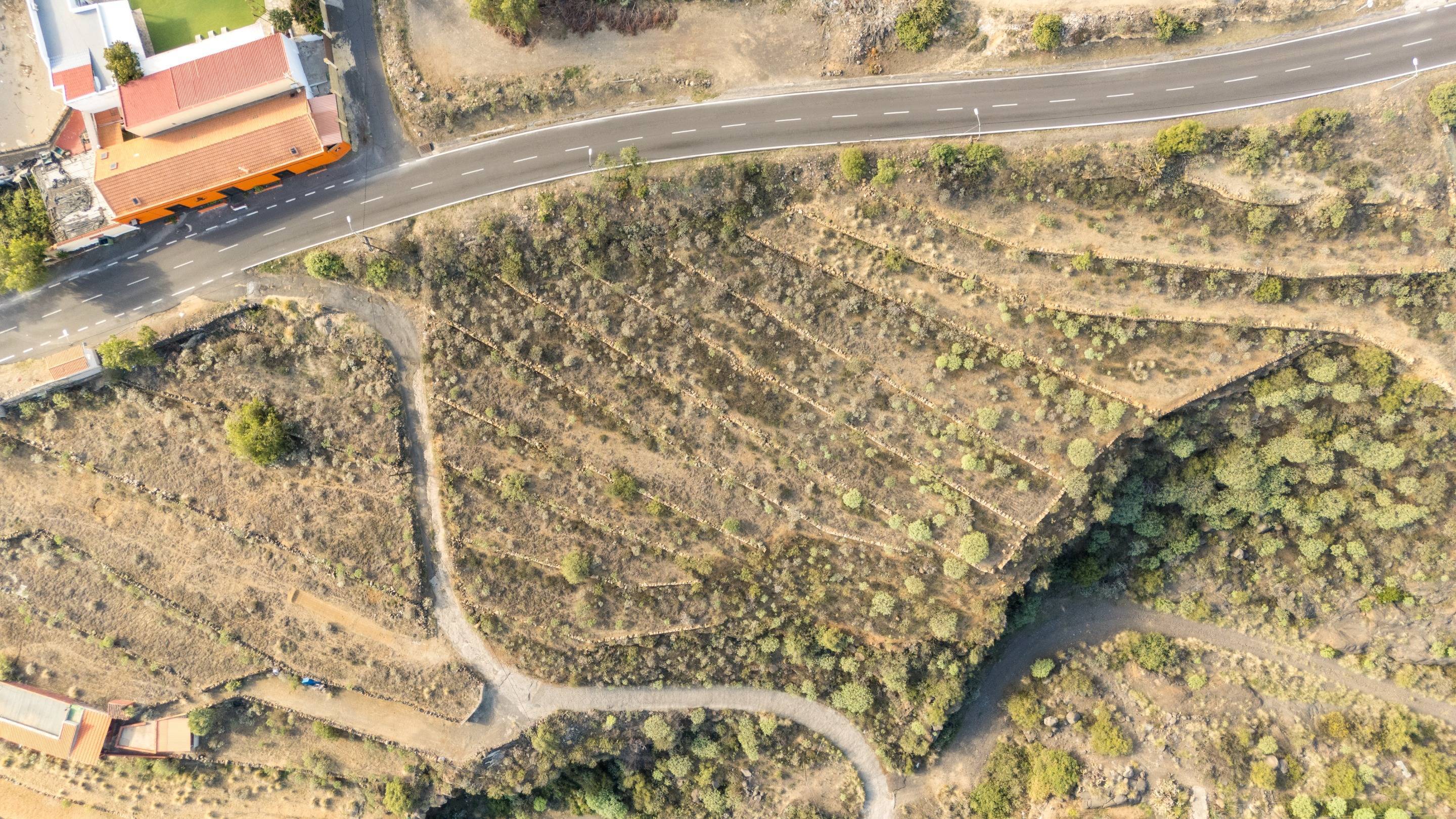 Fincas y solares-Venta-Arafo-1712528-Foto-7