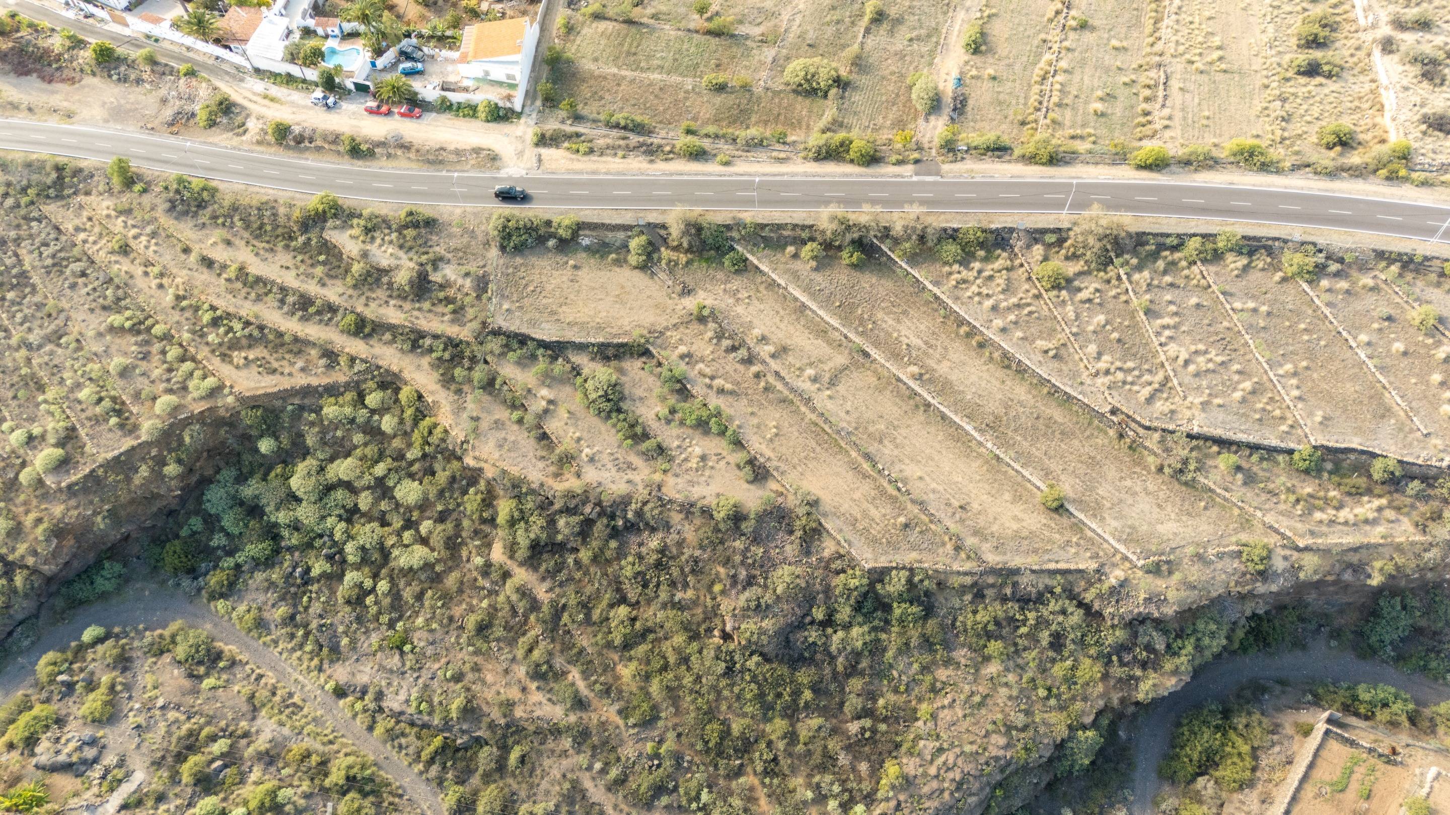 Fincas y solares-Venta-Arafo-1712528-Foto-13